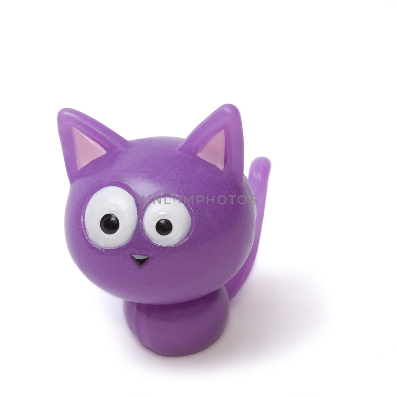 Funny Lilac Kitten isolated on the white background