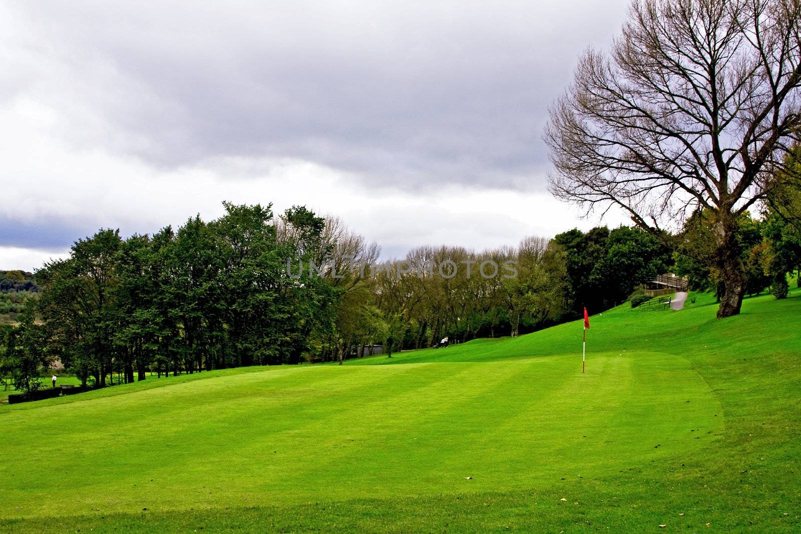 Golf Course in Autumn, green field