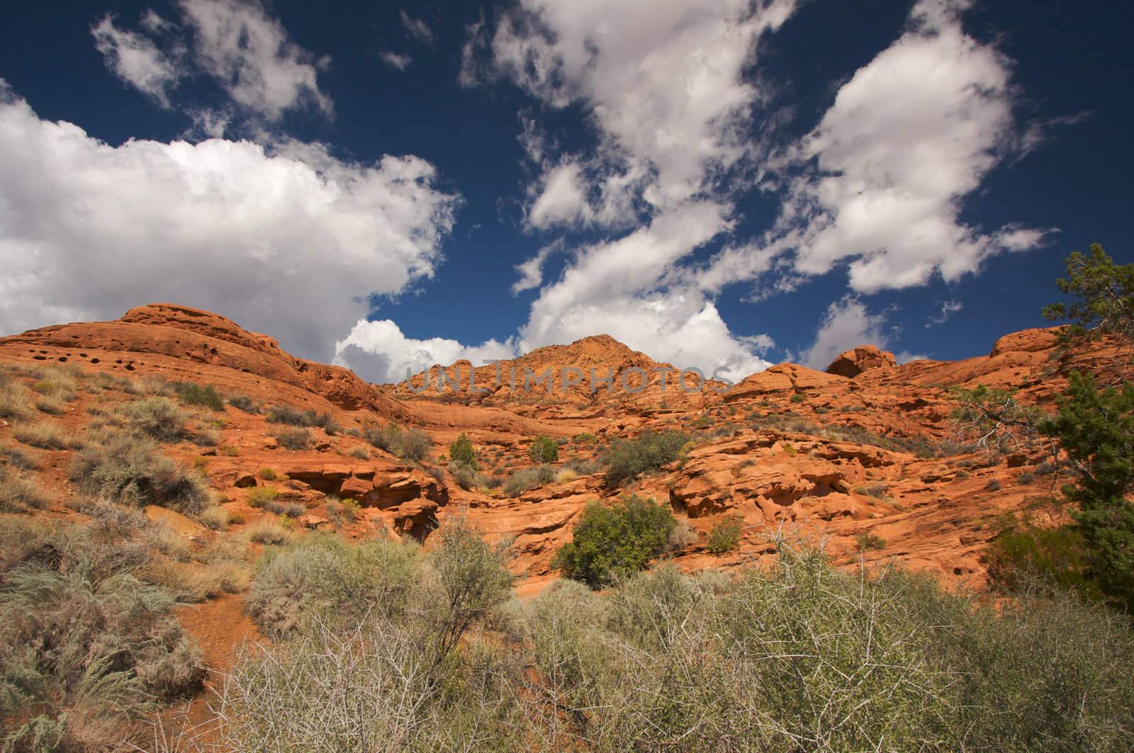 Red Rocks of Utah with Dramatic Blue Sky and Clouds