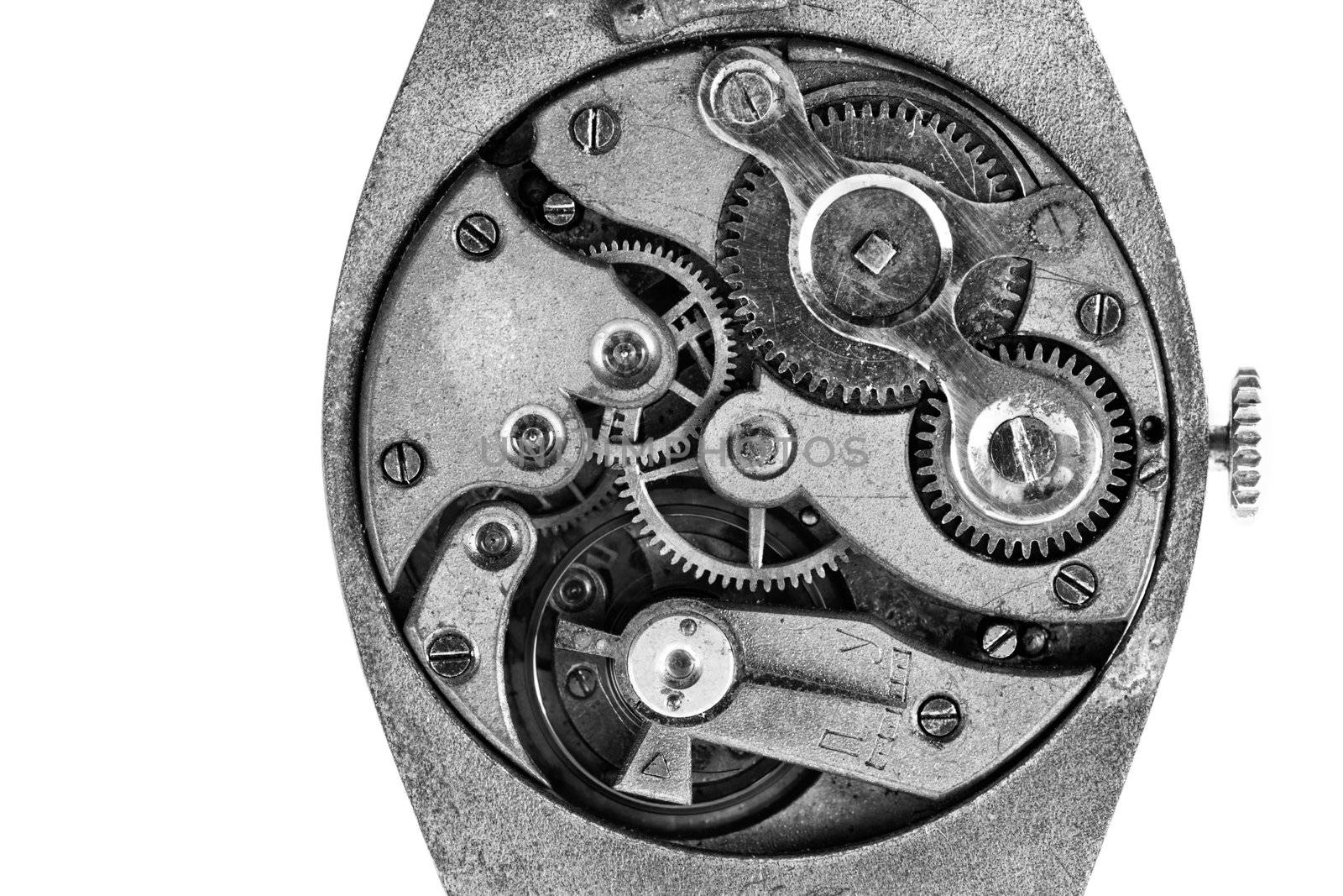 Antique wristwatch mechanism on white background, b&w shot