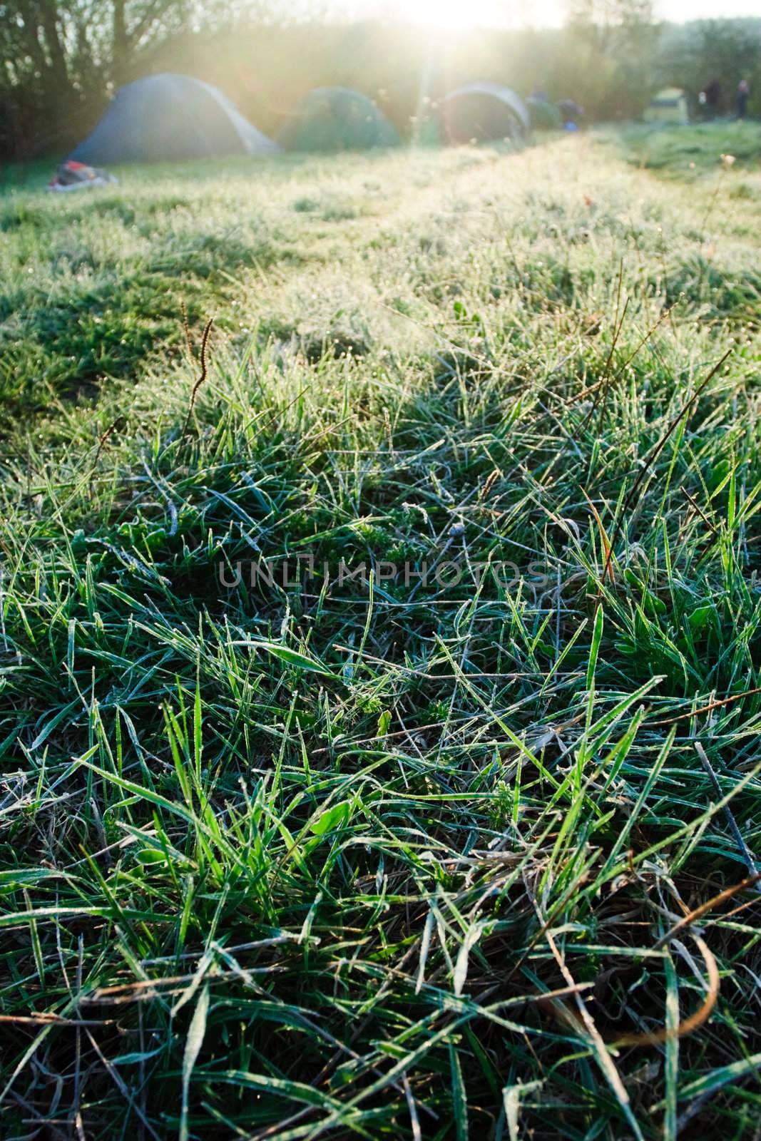 Grass with rime and dew drops in a morning light with camping in background