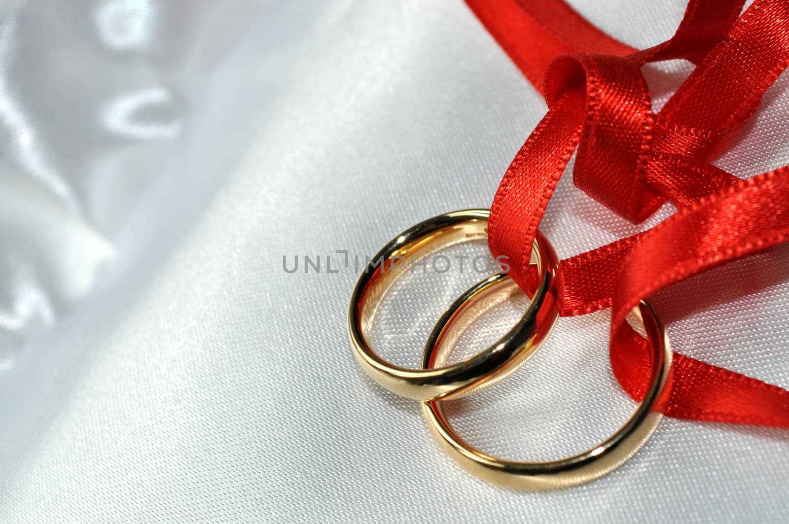 Wedding rings by rigamondis