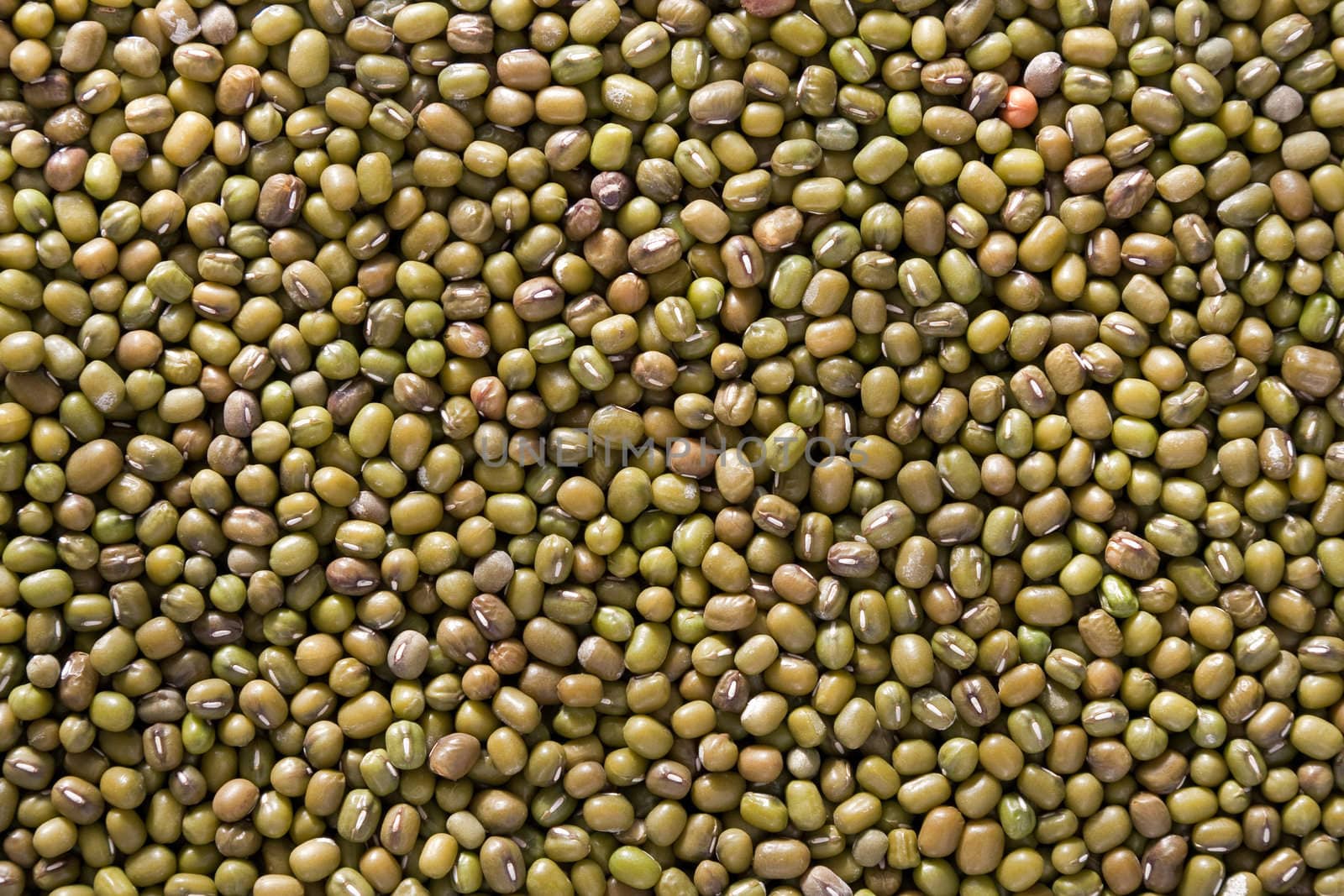 Dried  green mung beans: close-up