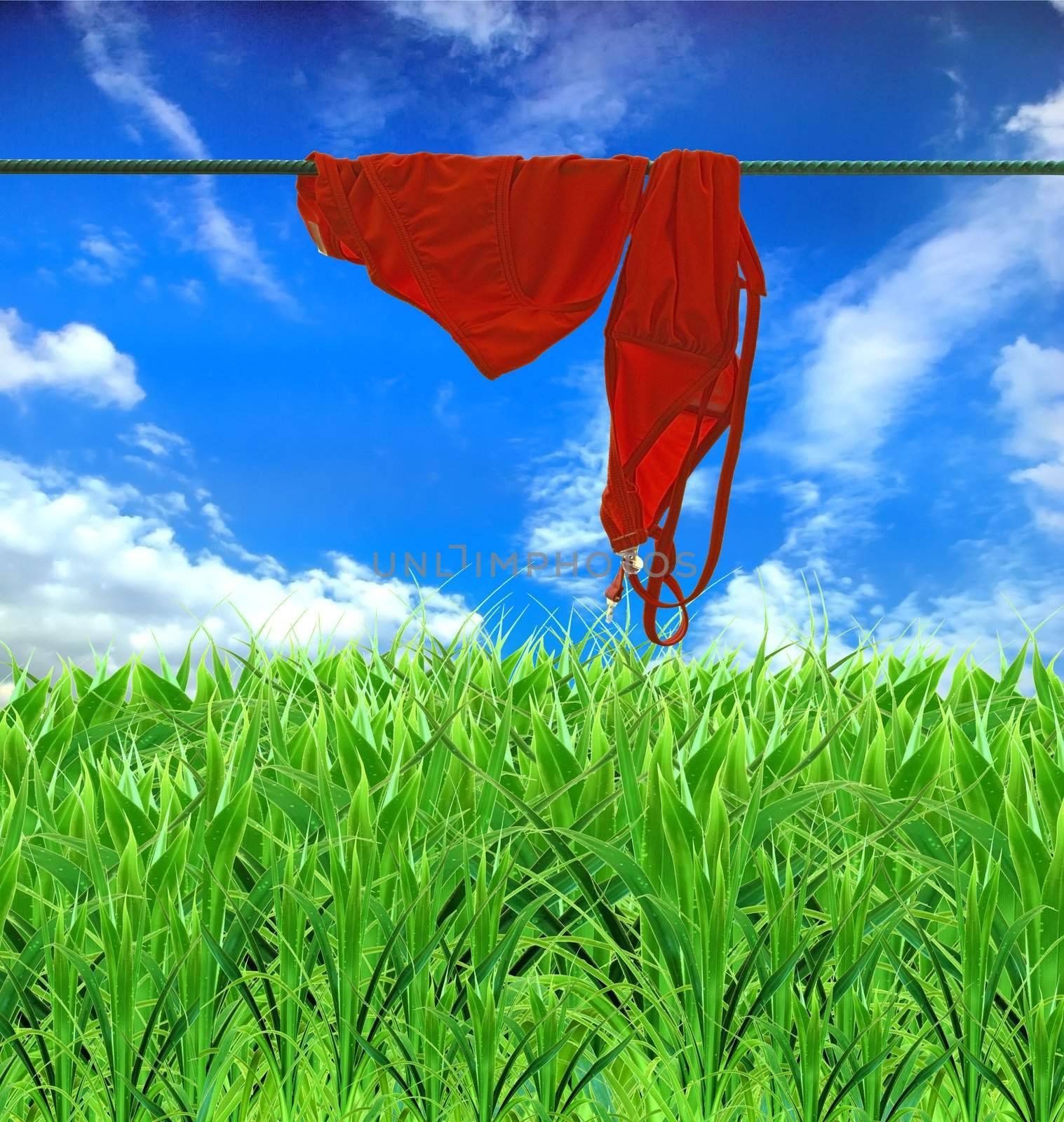 a wet swimming suit dries on a dark blue sky background 