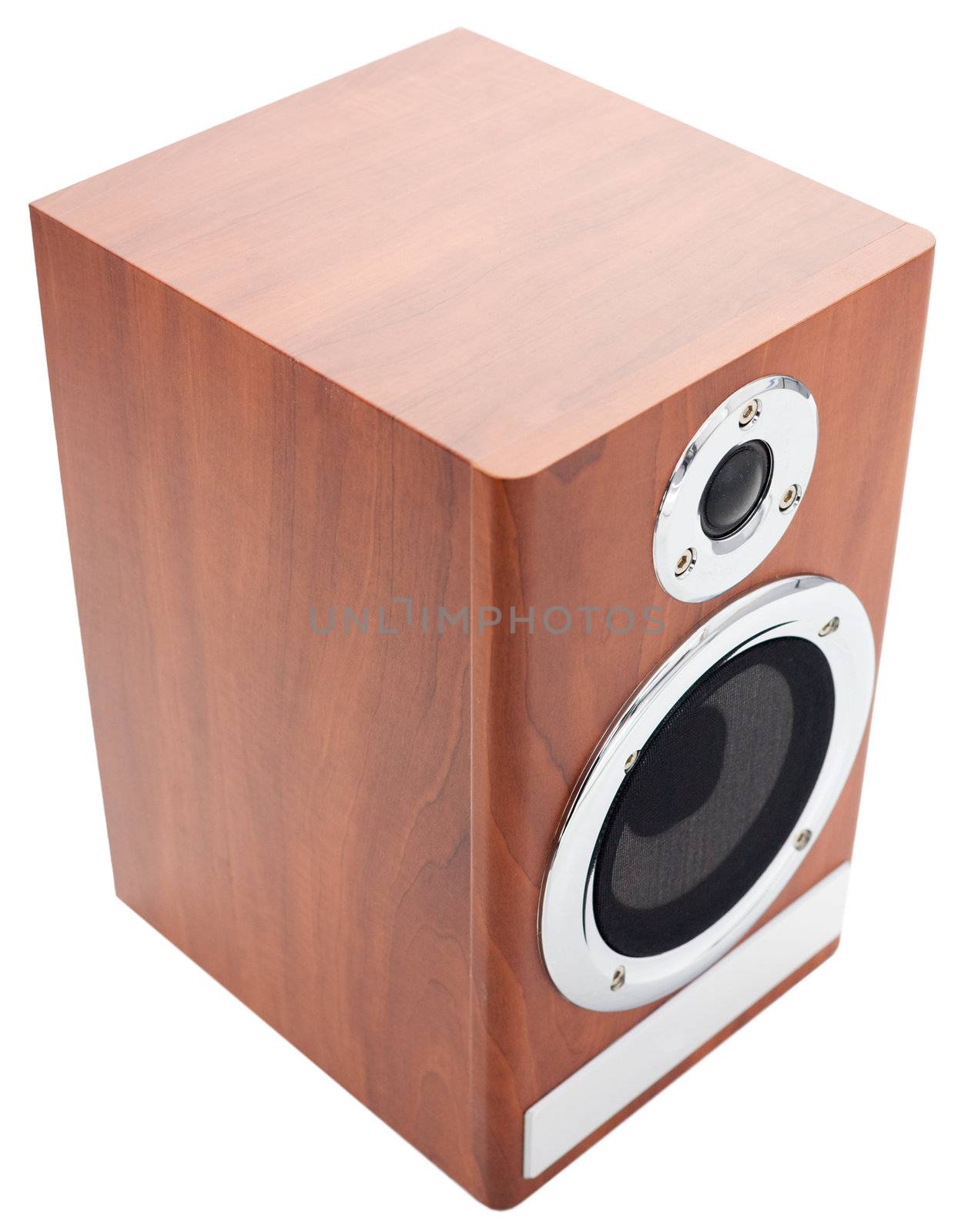 The big acoustic speaker on a white background