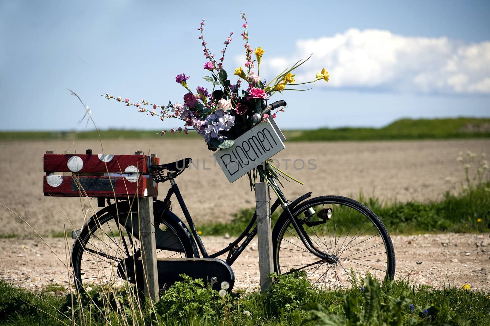 a bike with flowers on a field