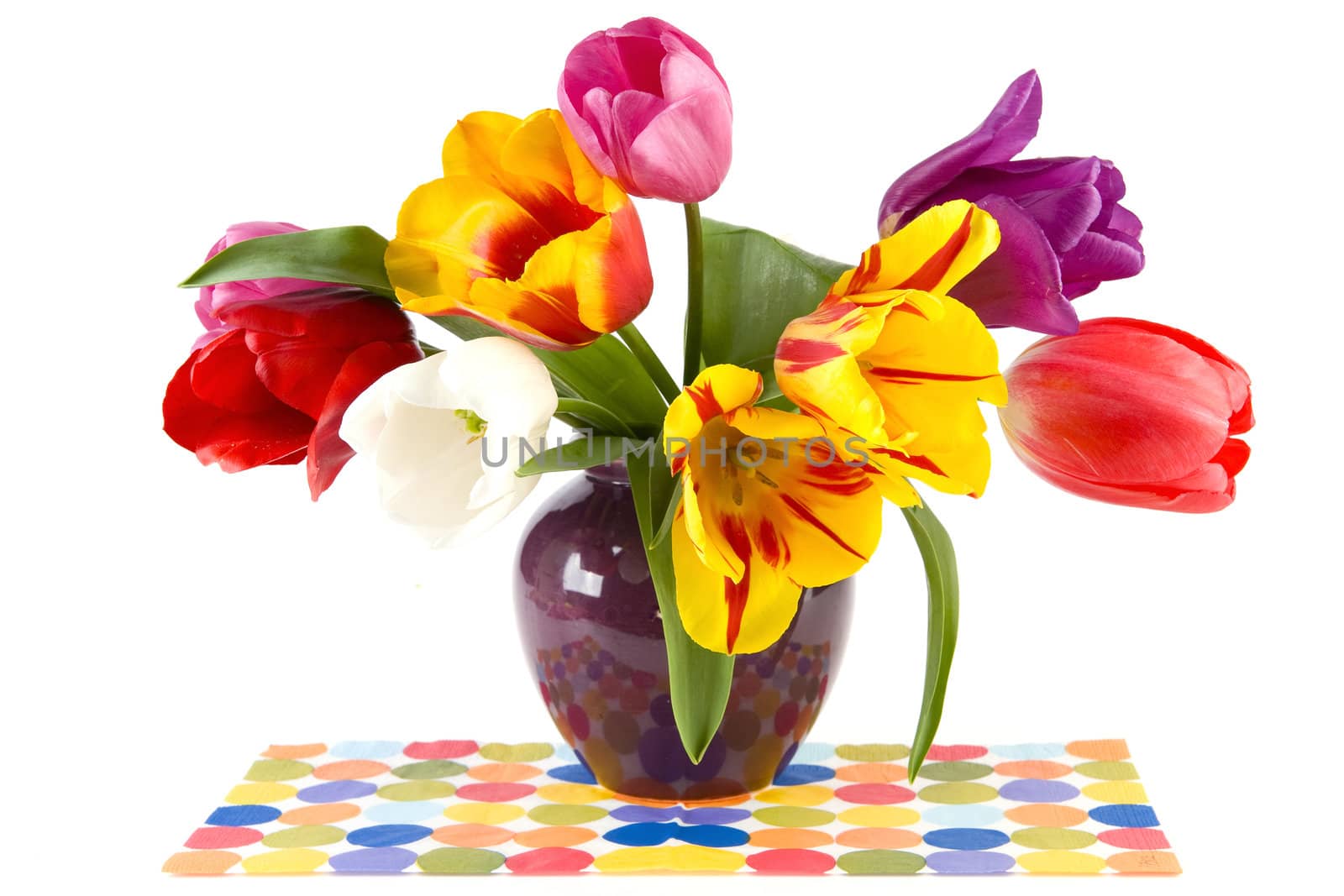 beautiful tulips in a vase
