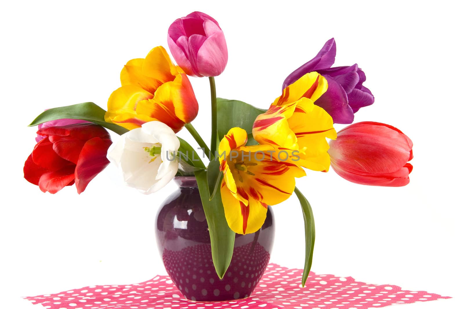 beautiful tulips in a vase