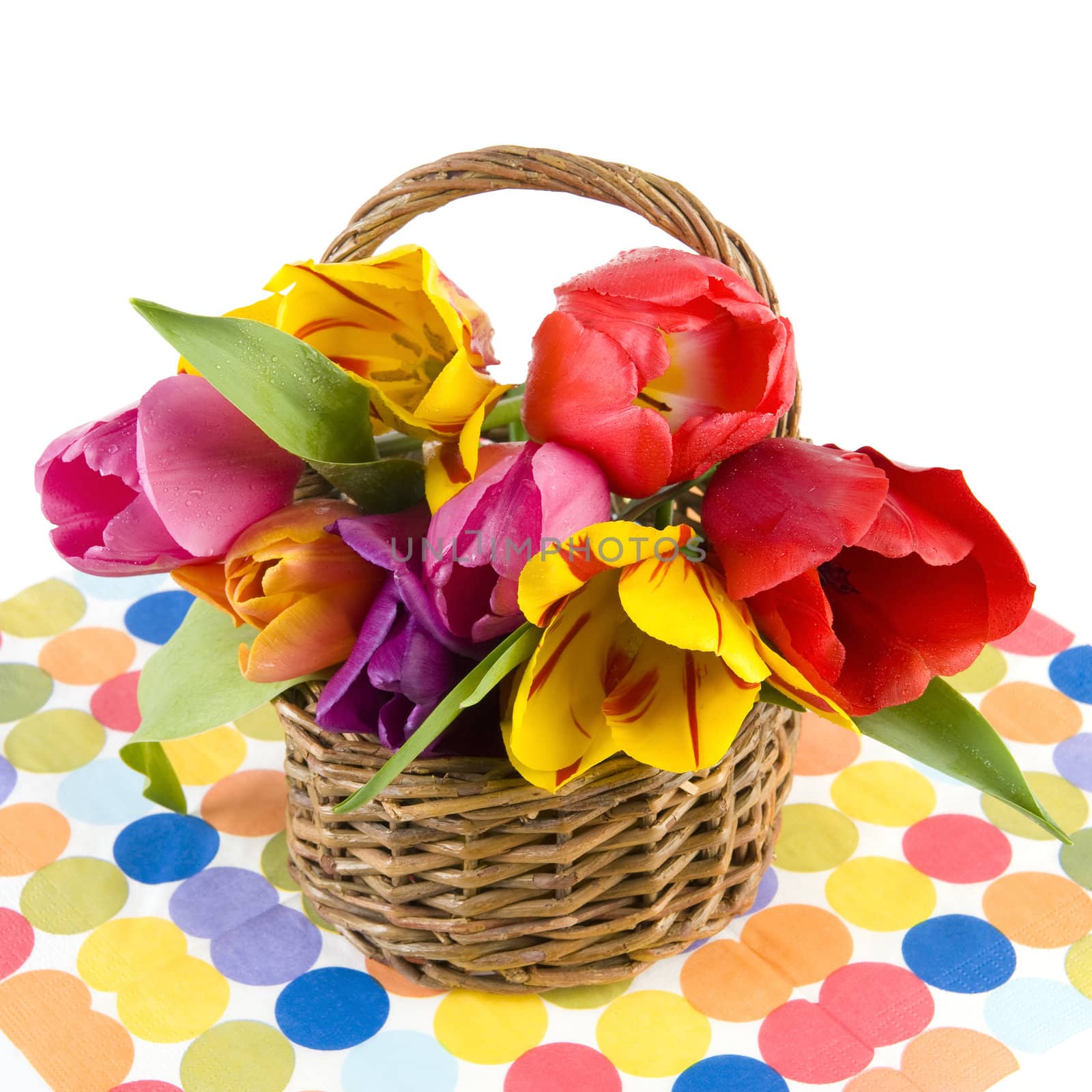 beautiful tulips in a basket