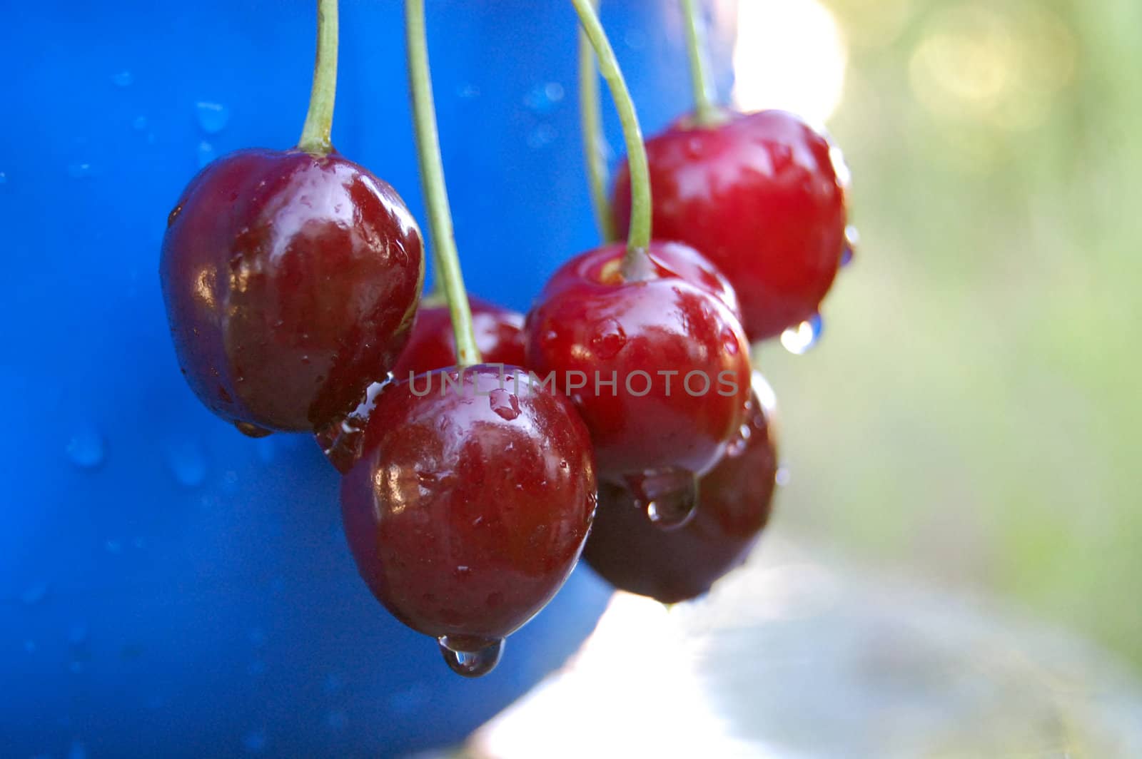 cherry