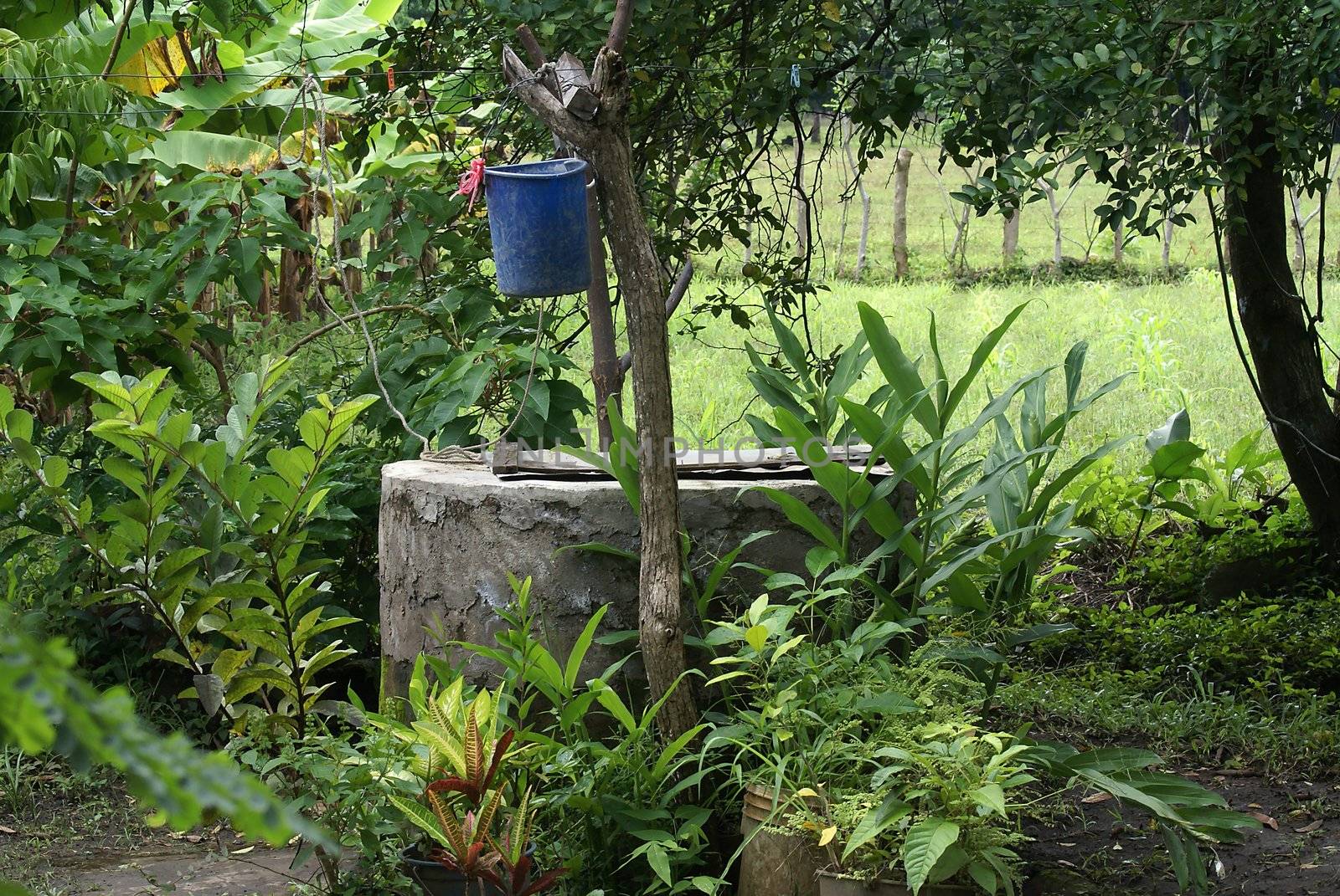 Water well with a bucket in Nicaragua.              