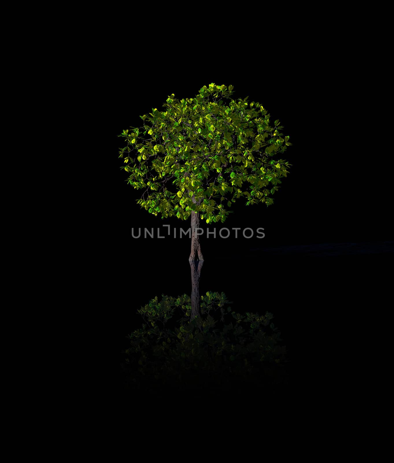 tree on black background - 3d illustration
