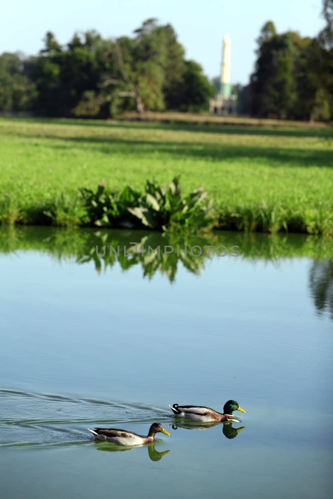 Lake in park, castle in Lednice by haak78