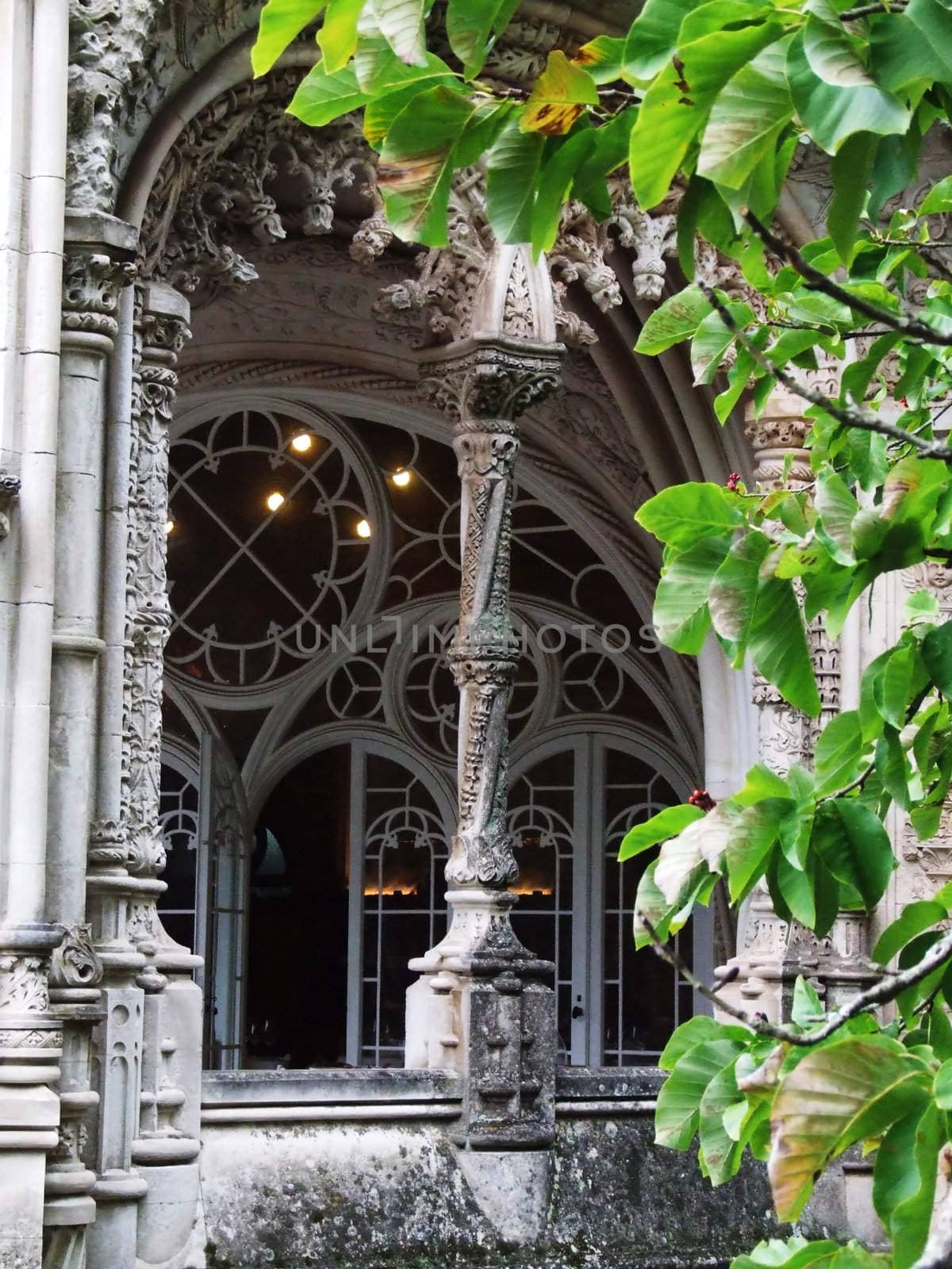 Fairytale castle window with a tree