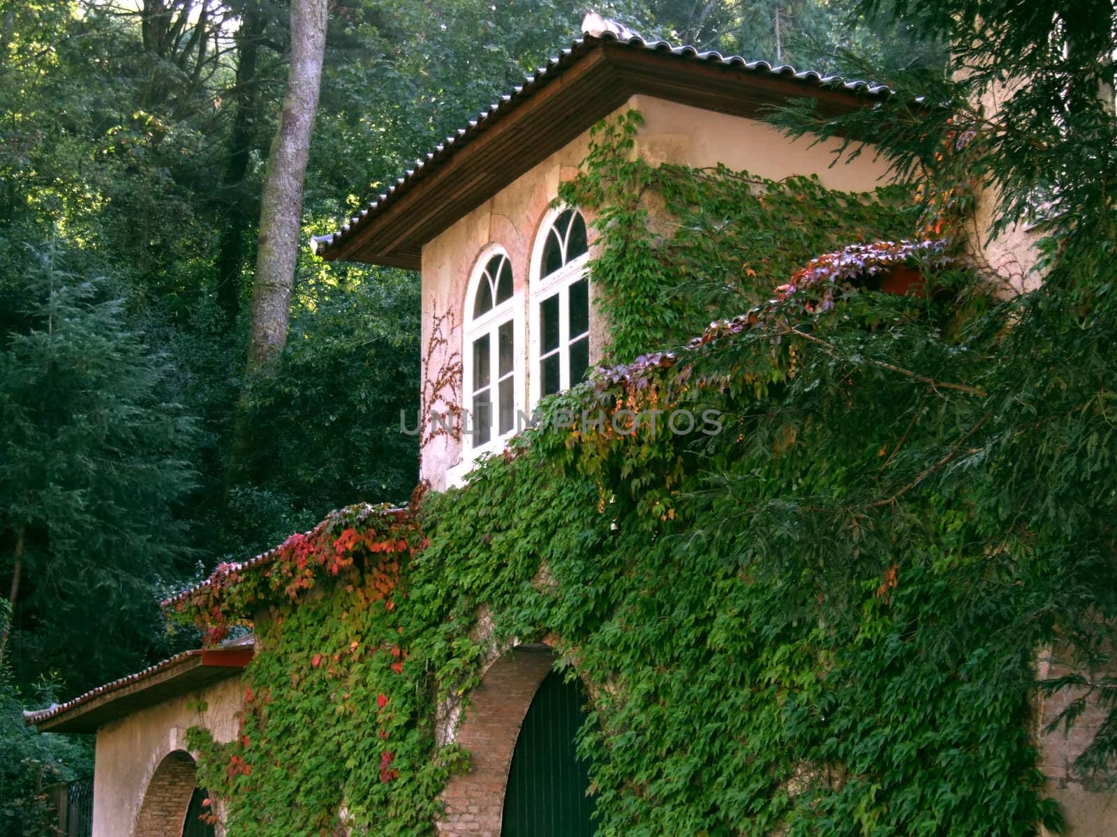 Pink country house windows closeup