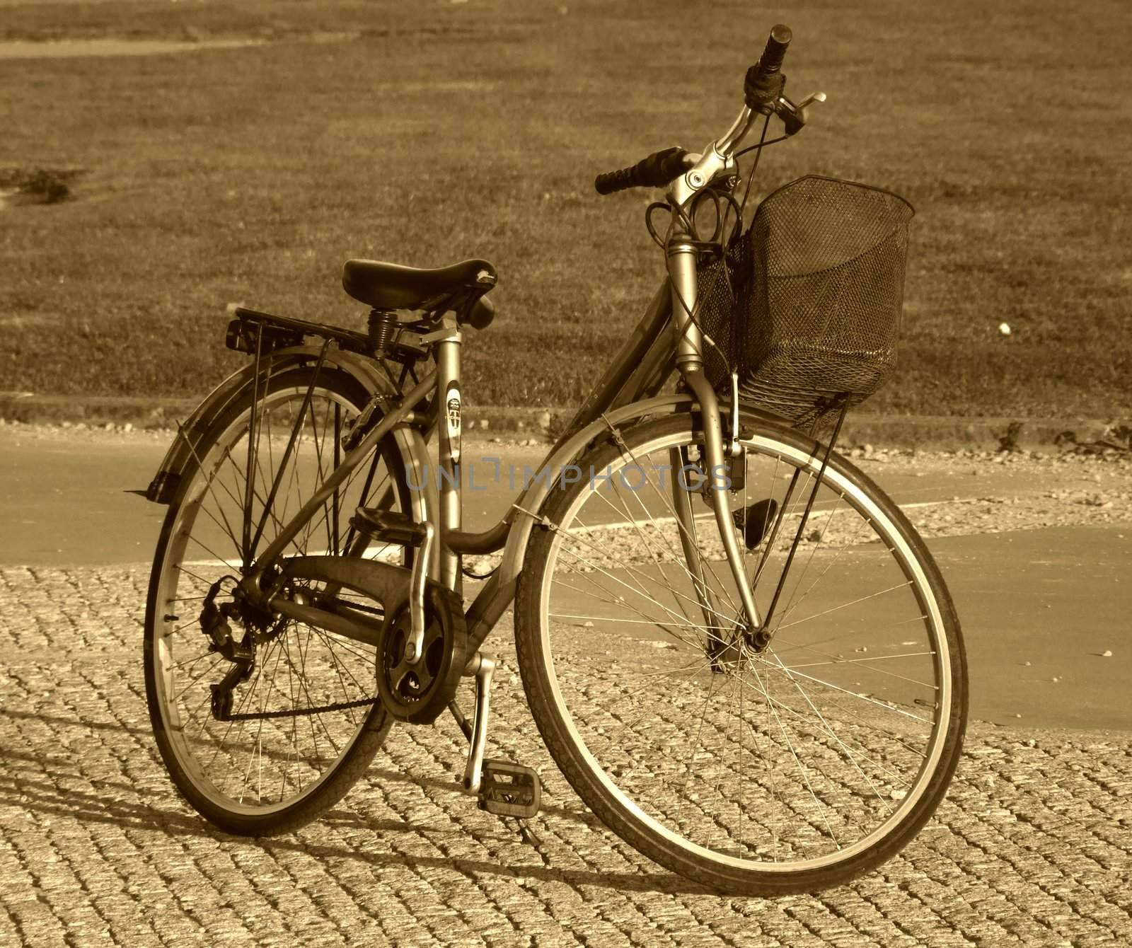 Old fashioned bicycle