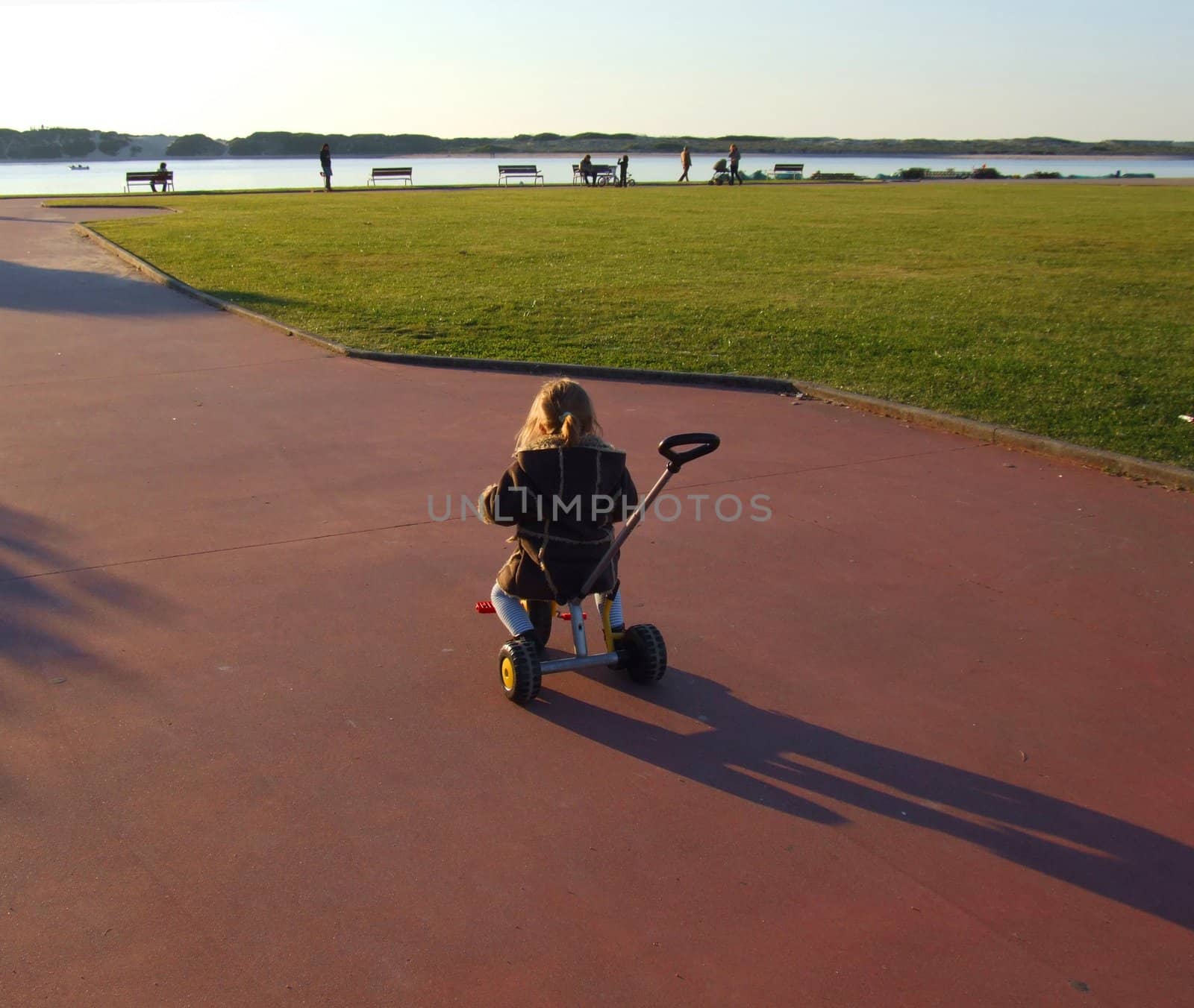 Child riding a tricycle near on a park.