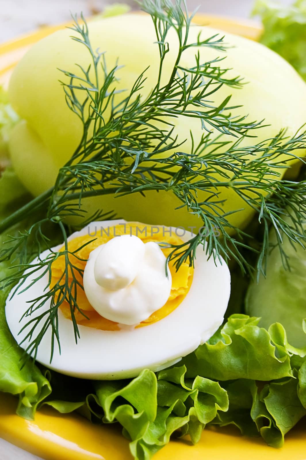 Greens, egg with mayonnaise on plate