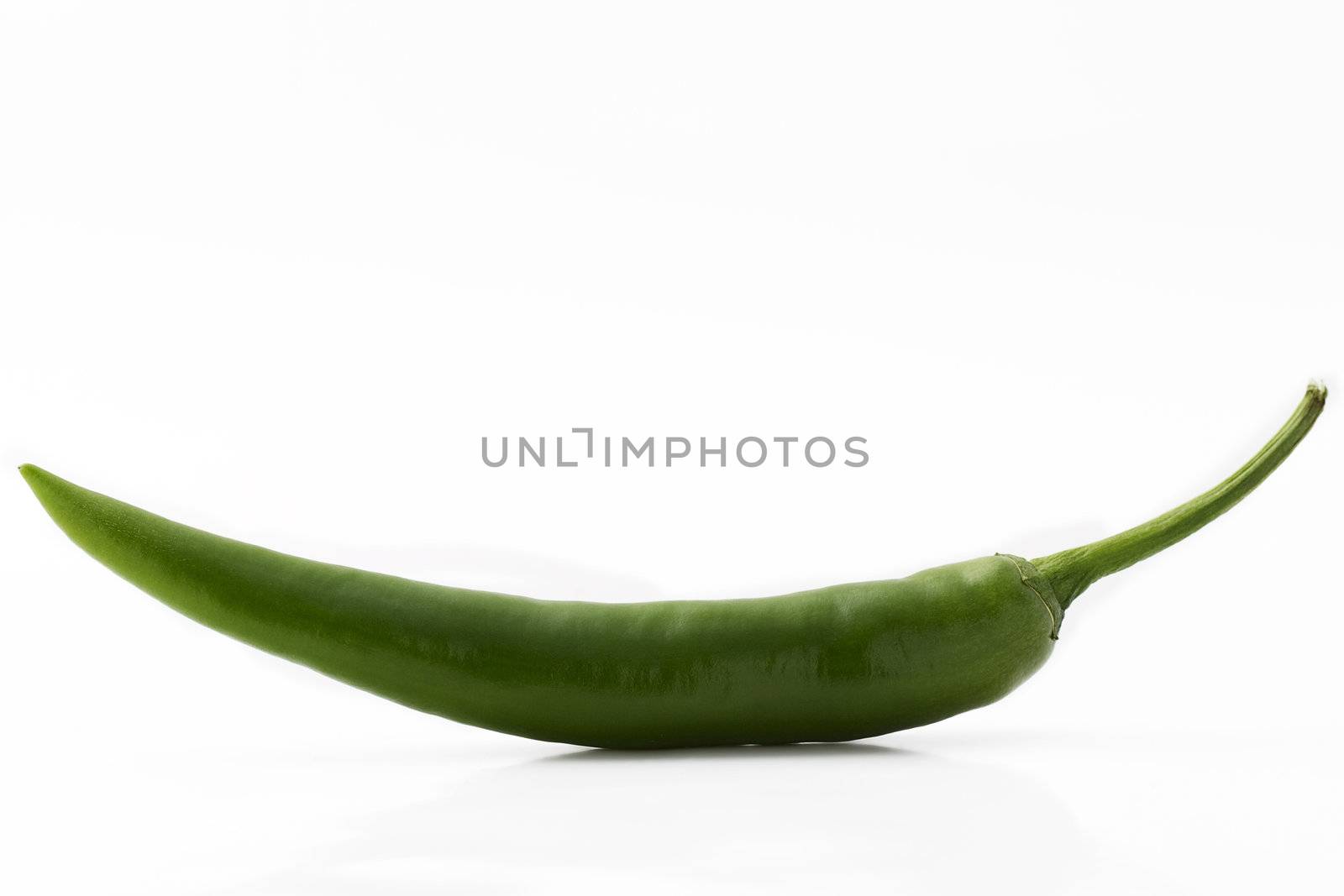 one green chili isolated on white background