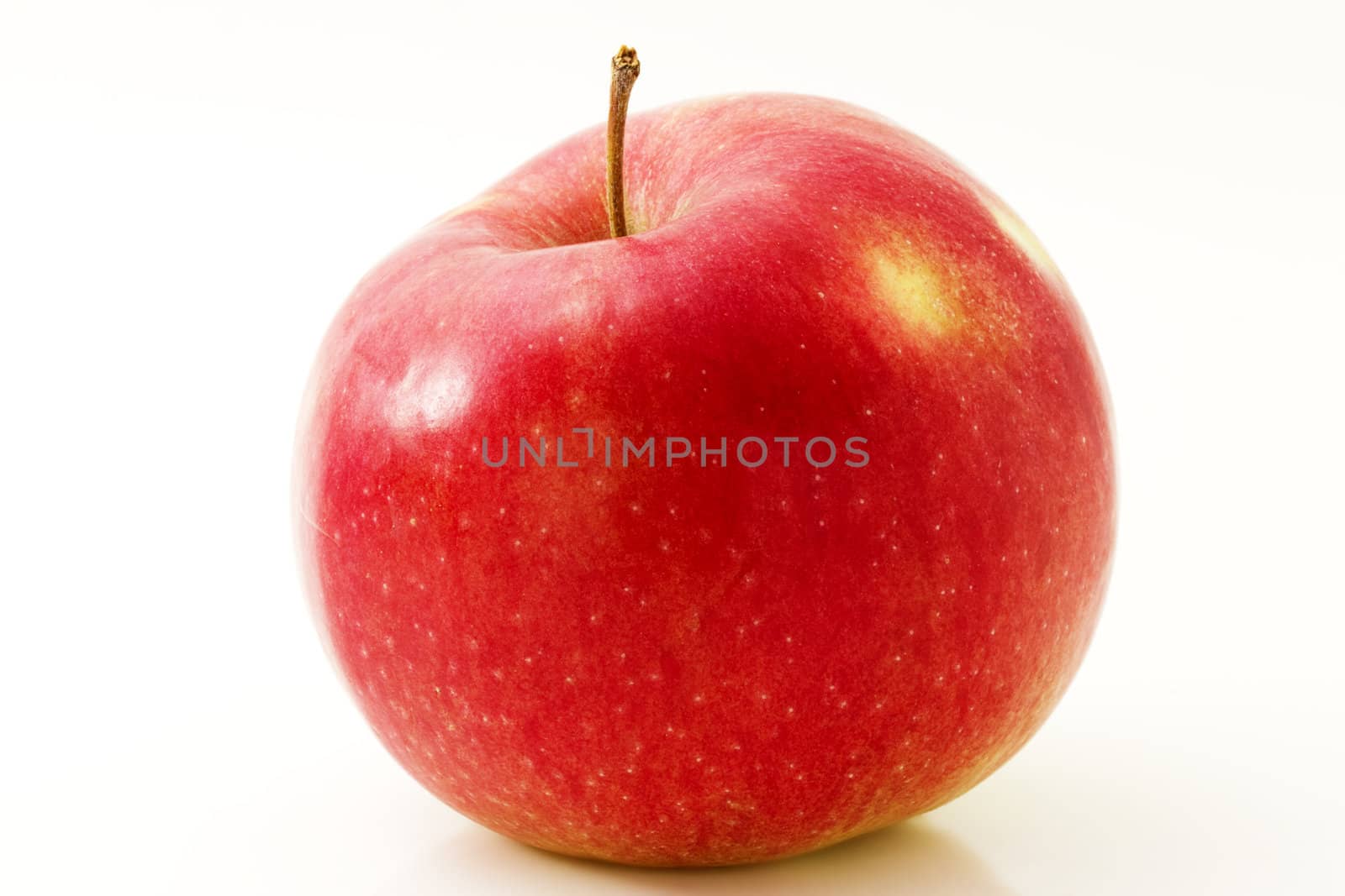 one red apple isolated on white background