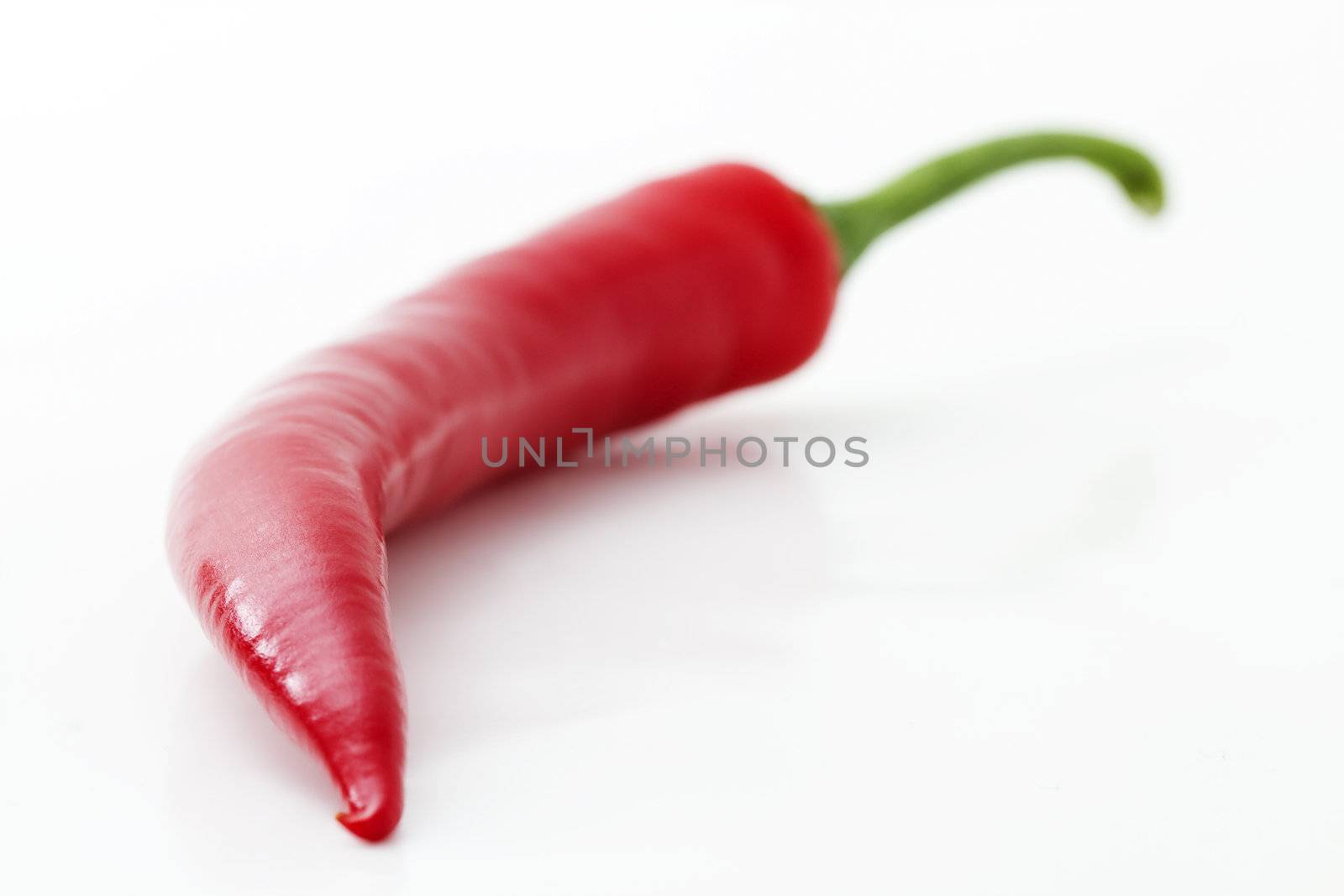 one red chili in depth isolated on white background