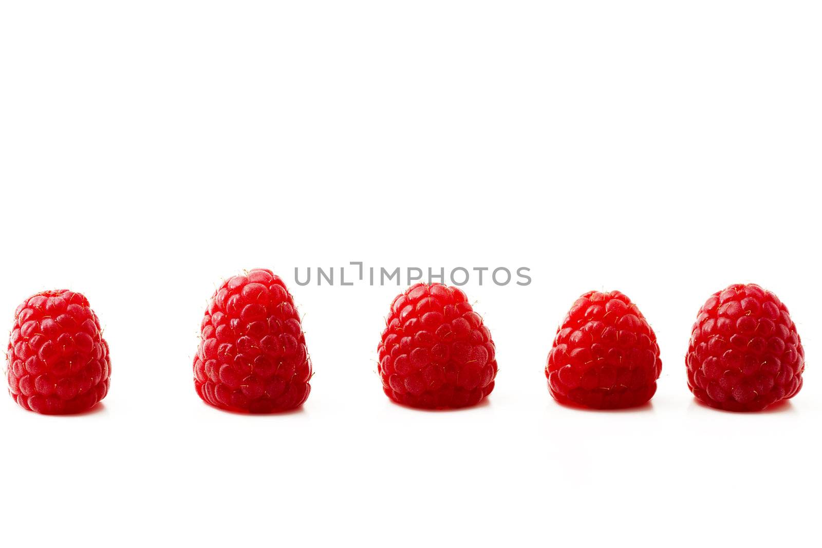 five raspberries in a row isolated on white background