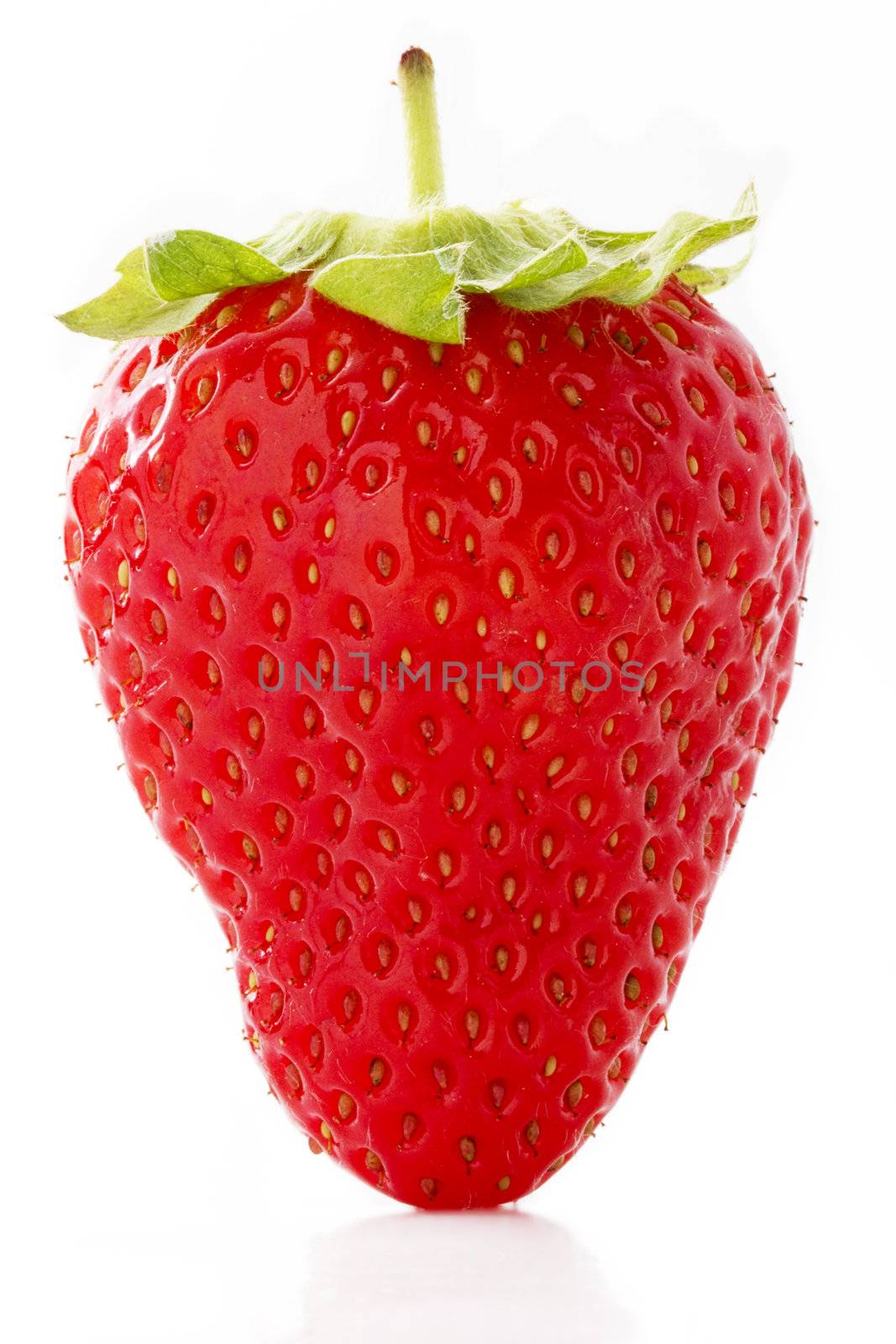 closeup of an red strawberry isolated on white background