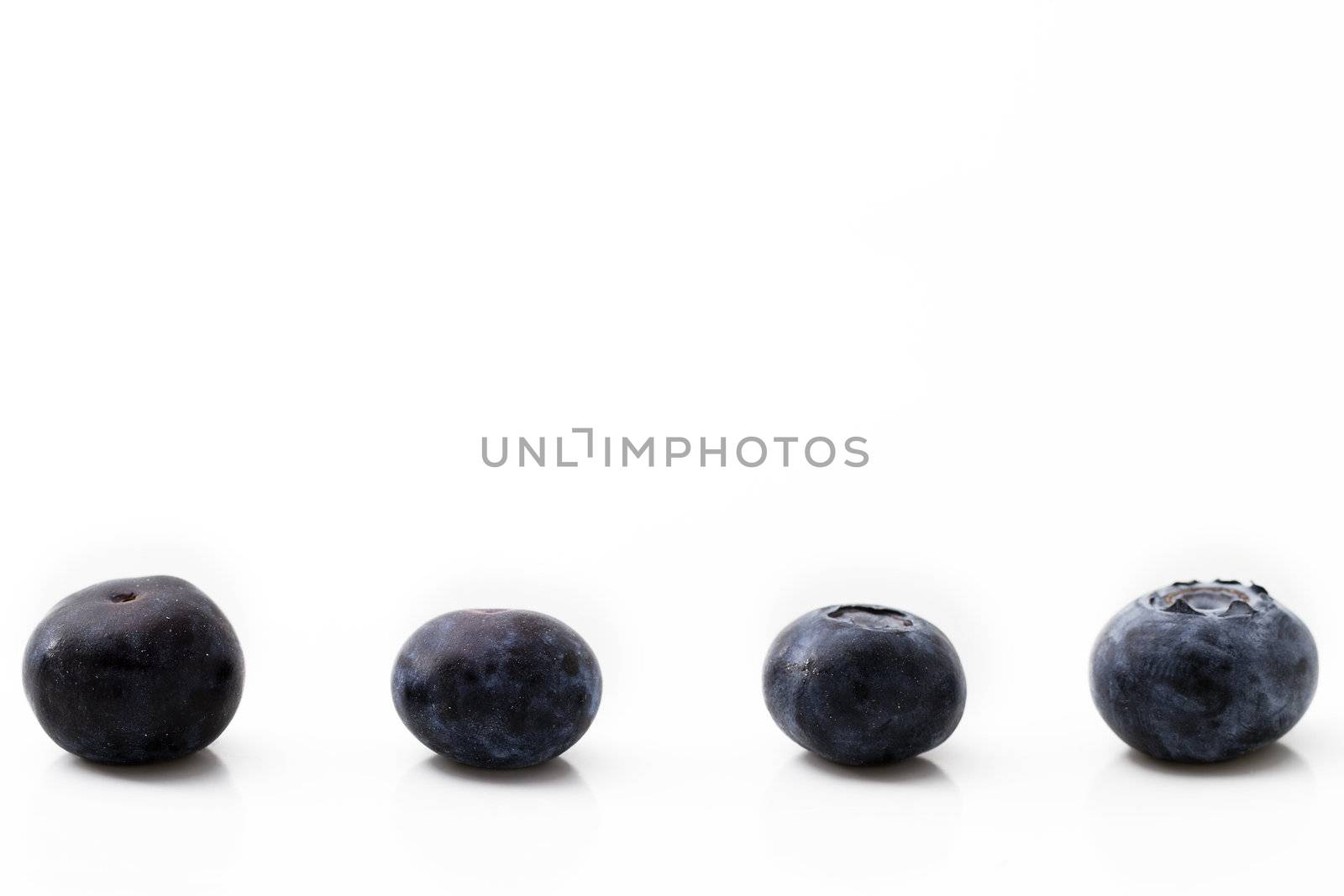 four blueberries in a row isolated on white background