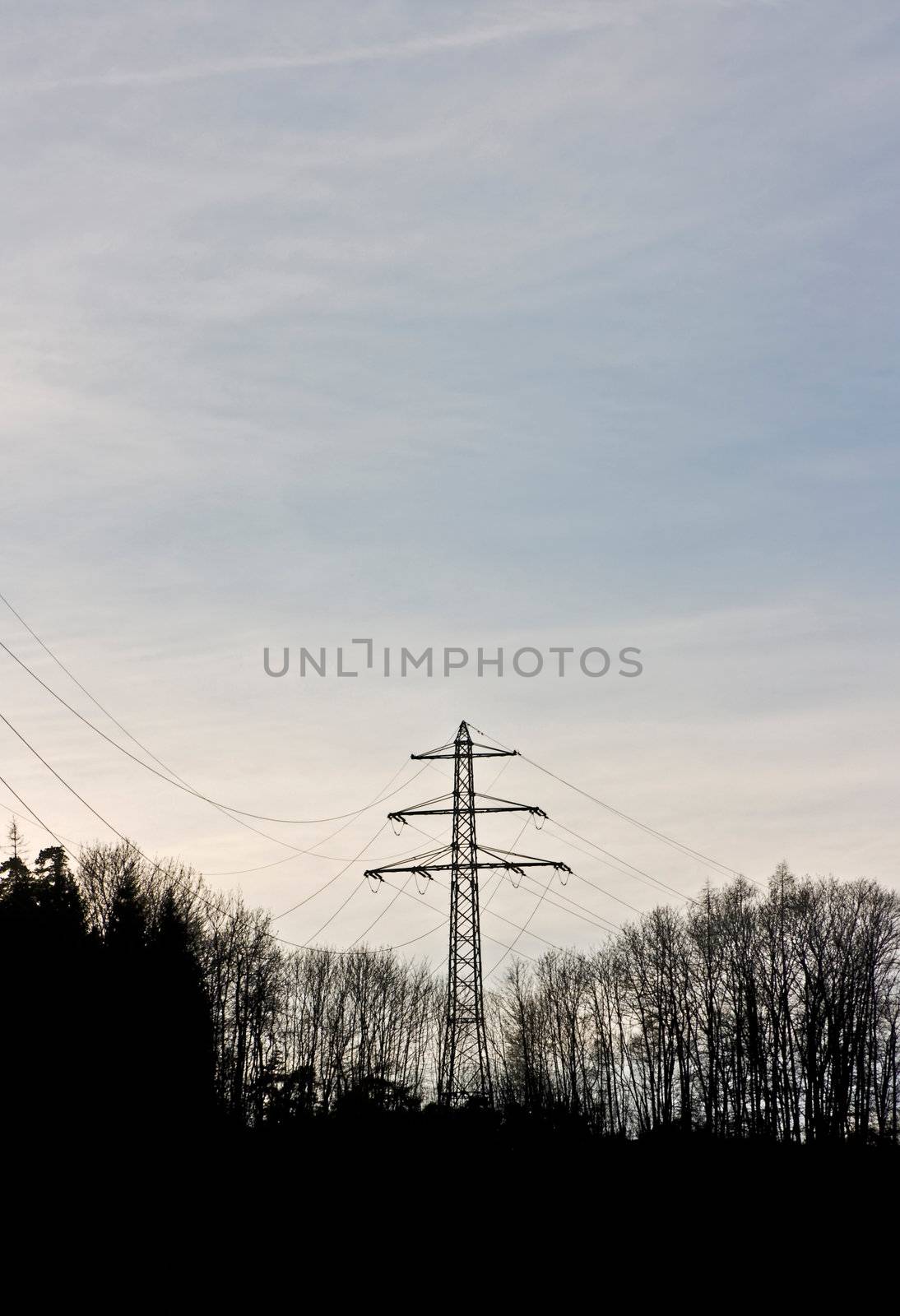 Power Pole by Ragnar