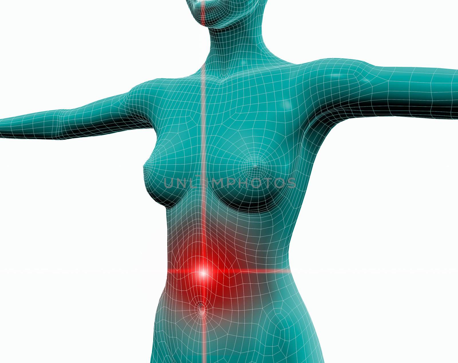 3d image of a woman with stomach ache