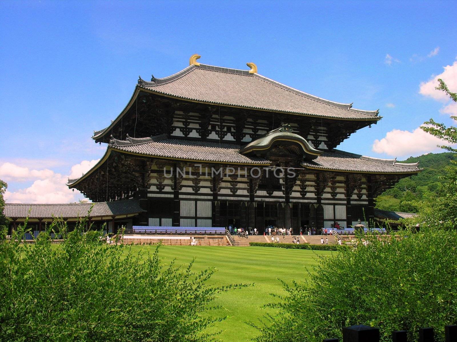 Todai-ji temple in Nara by rigamondis