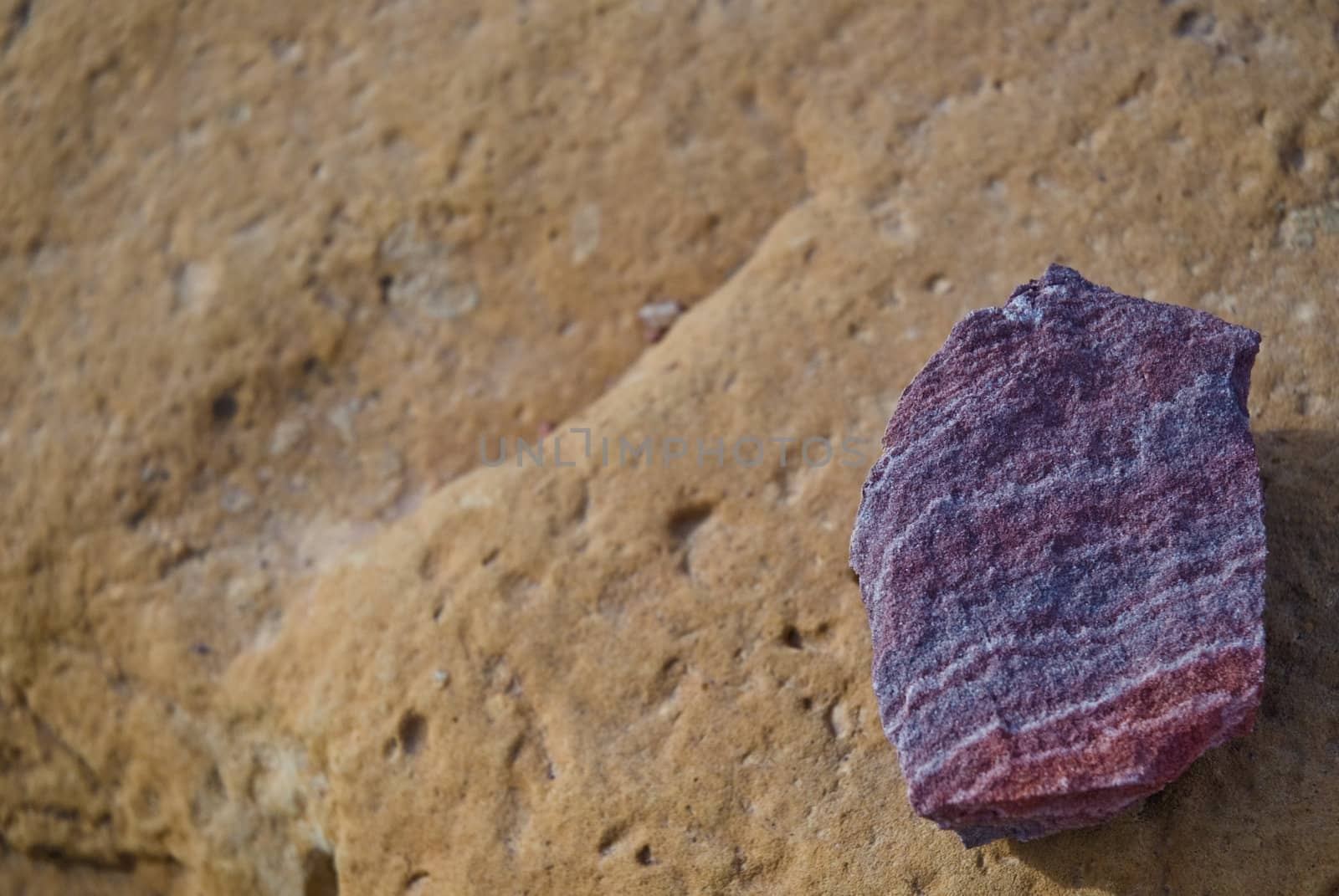 A purple rock on a brown rock. Found in Petra, Jordan.