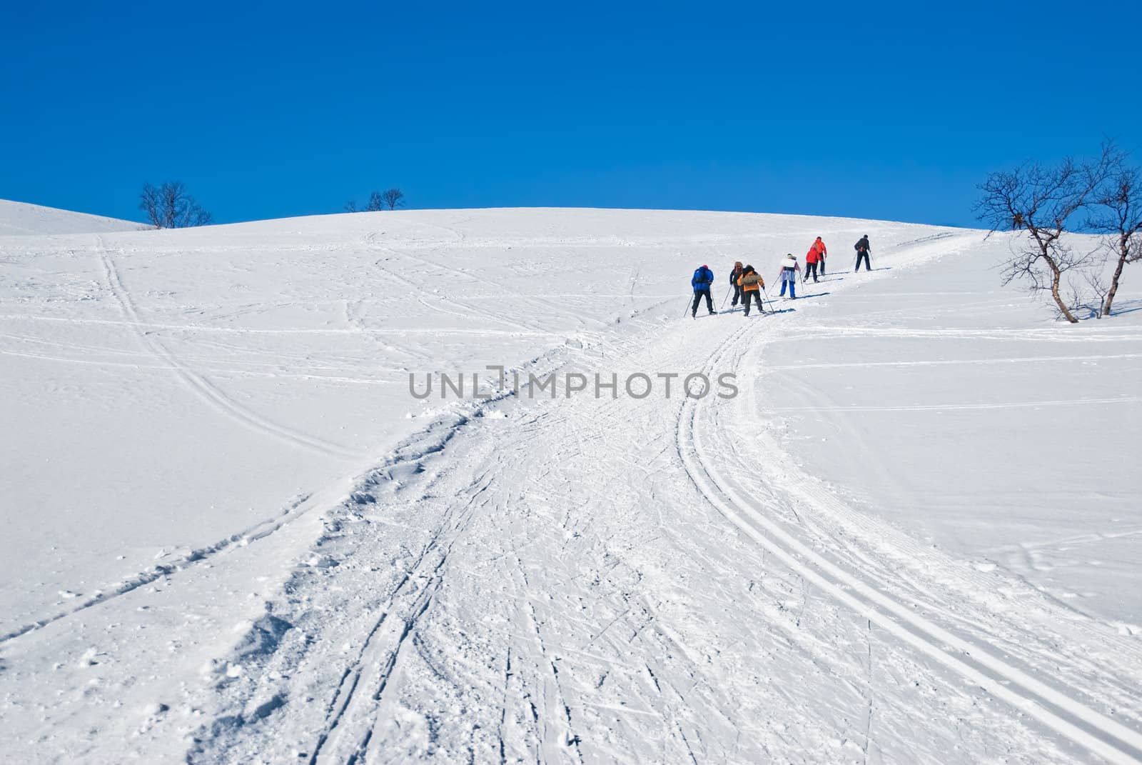 Group of people back country skiing up a hill. Picture taken in Oppdal, Norway.