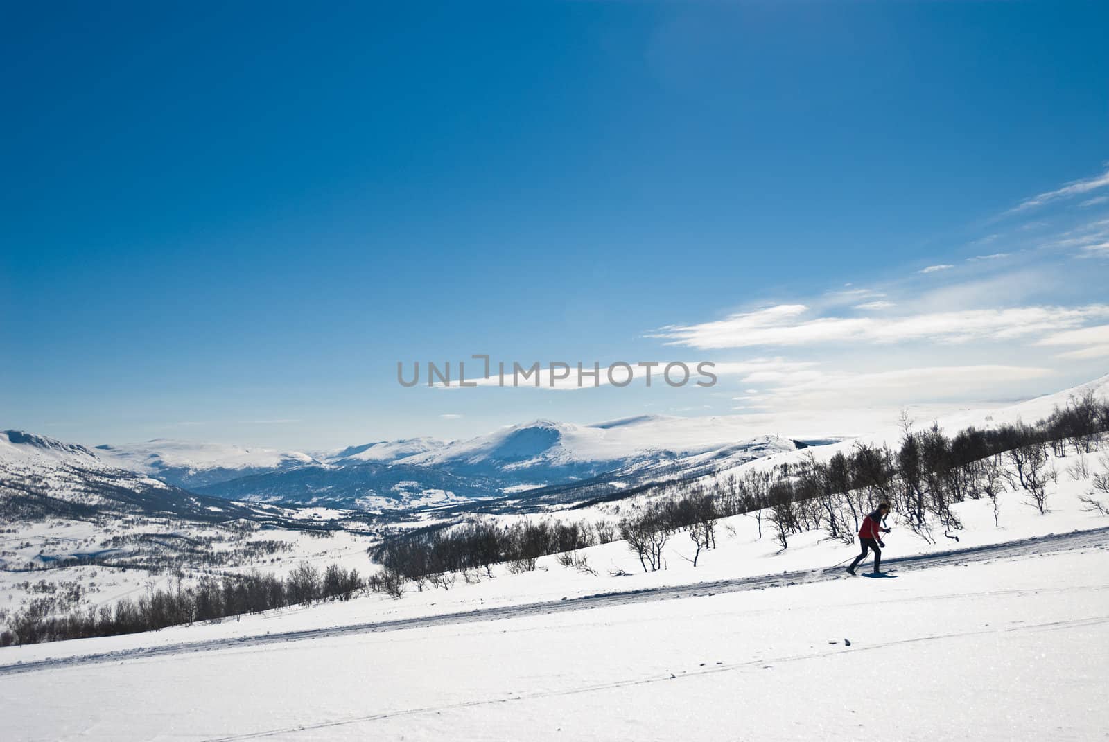 Single skier exercising. A typical Norwegian winter landscape as the beautiful background. Picture taken in Oppdal, Norway.