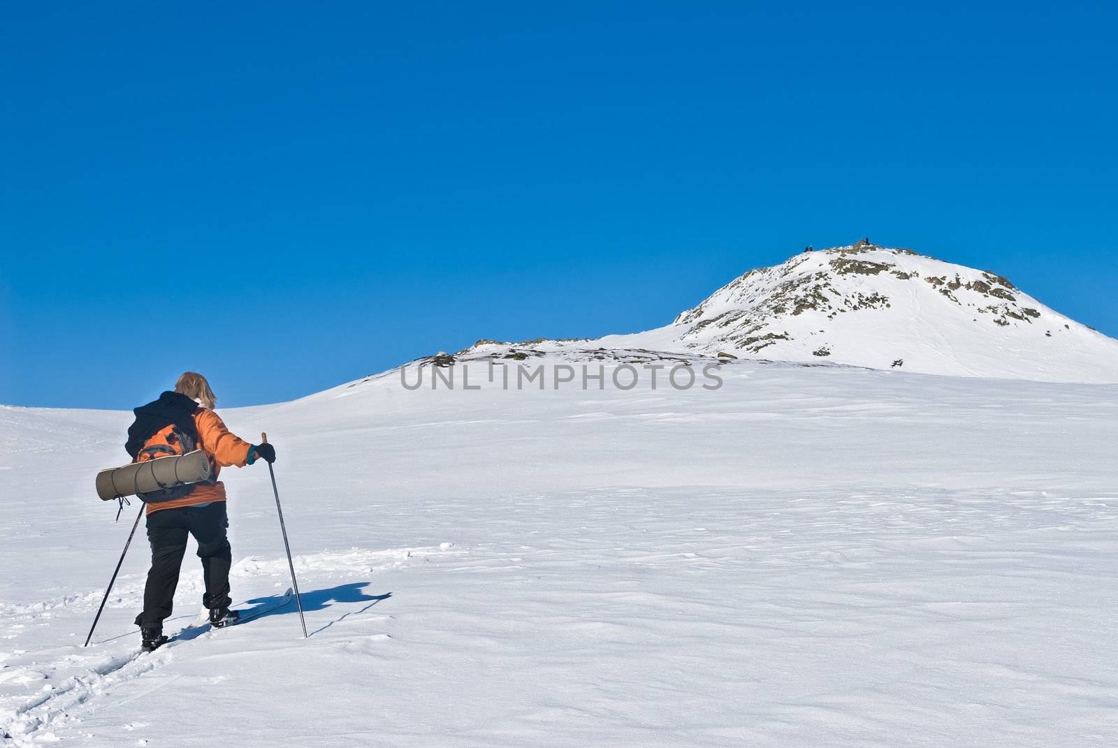 Single skier who is climping for the top. Woman mid 50's and a clear blue sky. Picture taken in Oppdal, Norway.