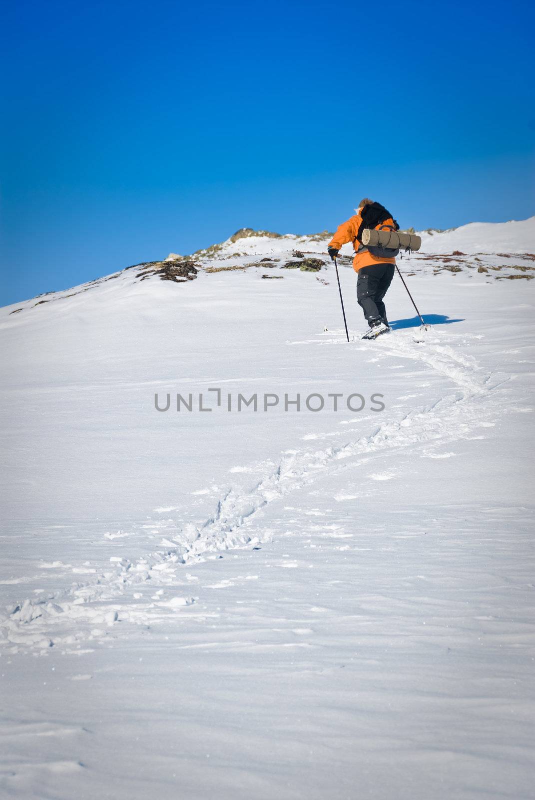 Single skier who is climping for the top. Woman mid 50's and a clear blue sky. Picture taken in Oppdal, Norway.