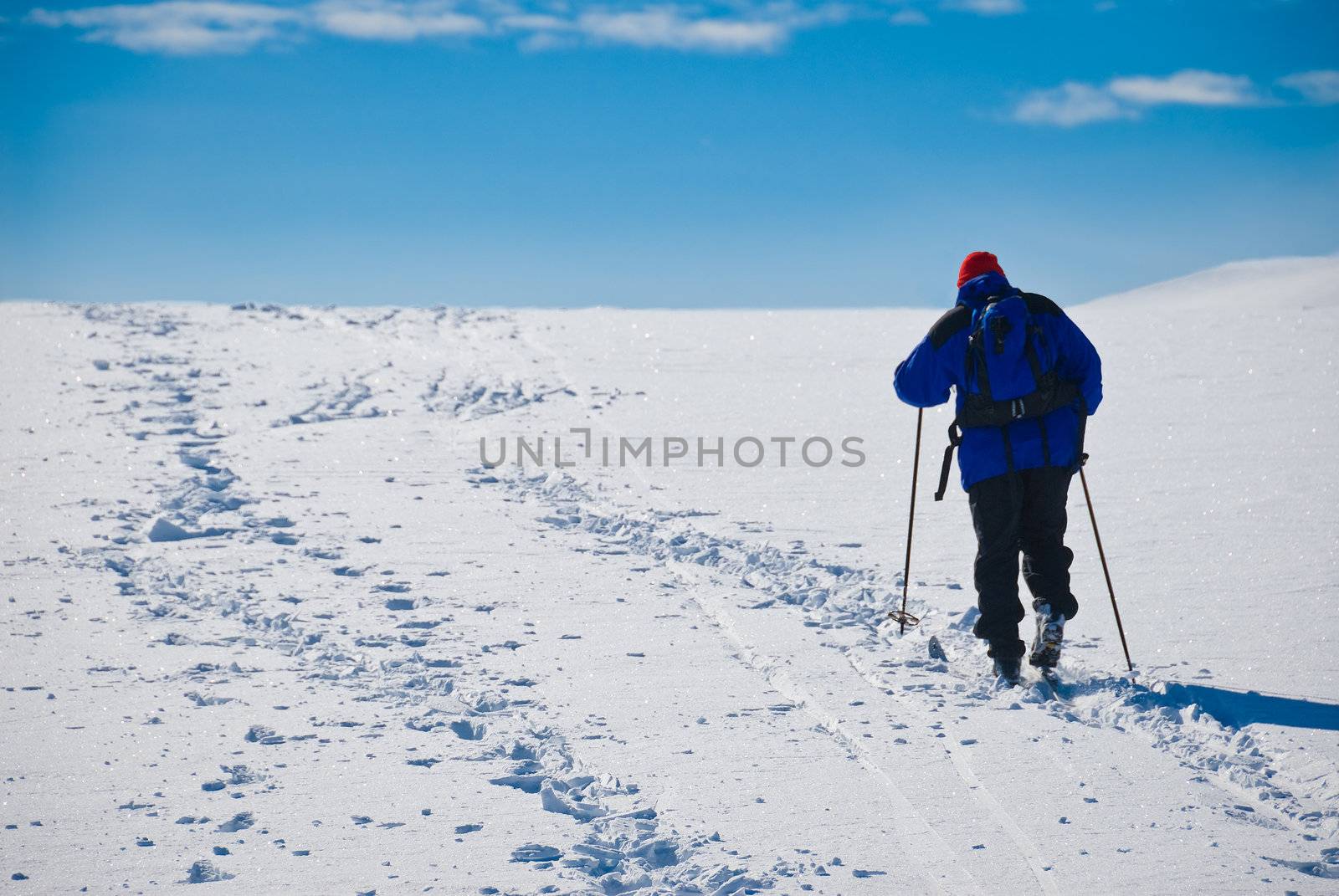 Man cross country skiing towards the horizon. Blue sky with some clouds. Limited DOF. Picture taken in Oppdal, Norway.
