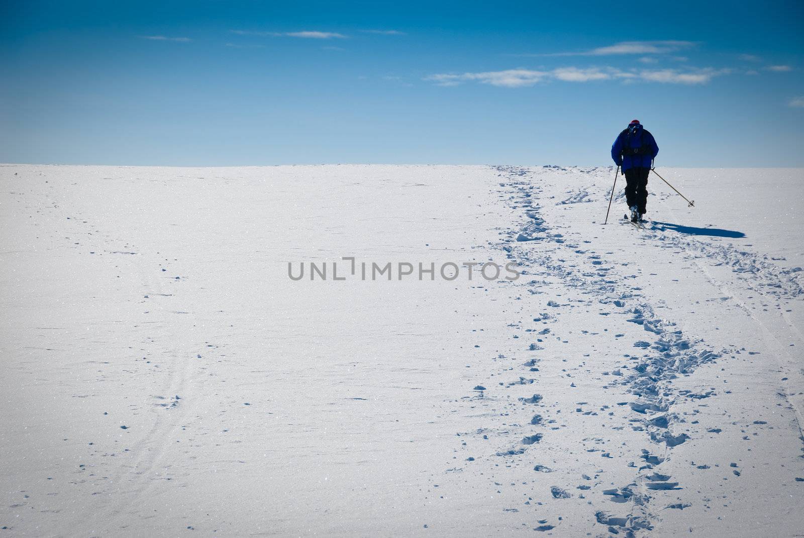 Man cross country skiing towards the horizon. Blue sky with some clouds. Limited DOF. Picture taken in Oppdal, Norway.