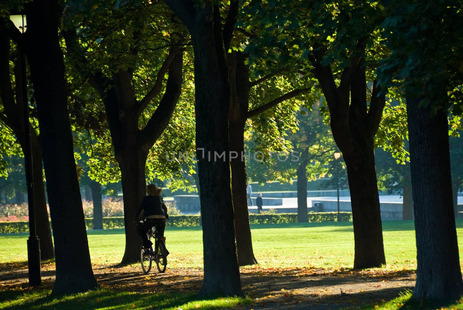 A girl riding a bicycle in the park. 