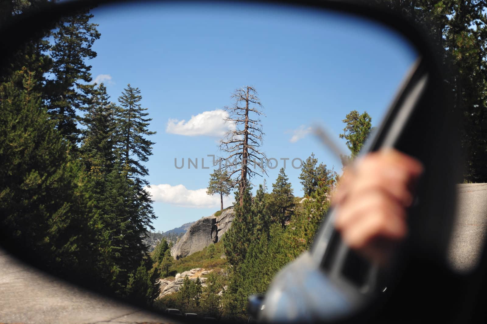 Looking at the scenic view  in the side view mirror of a car
