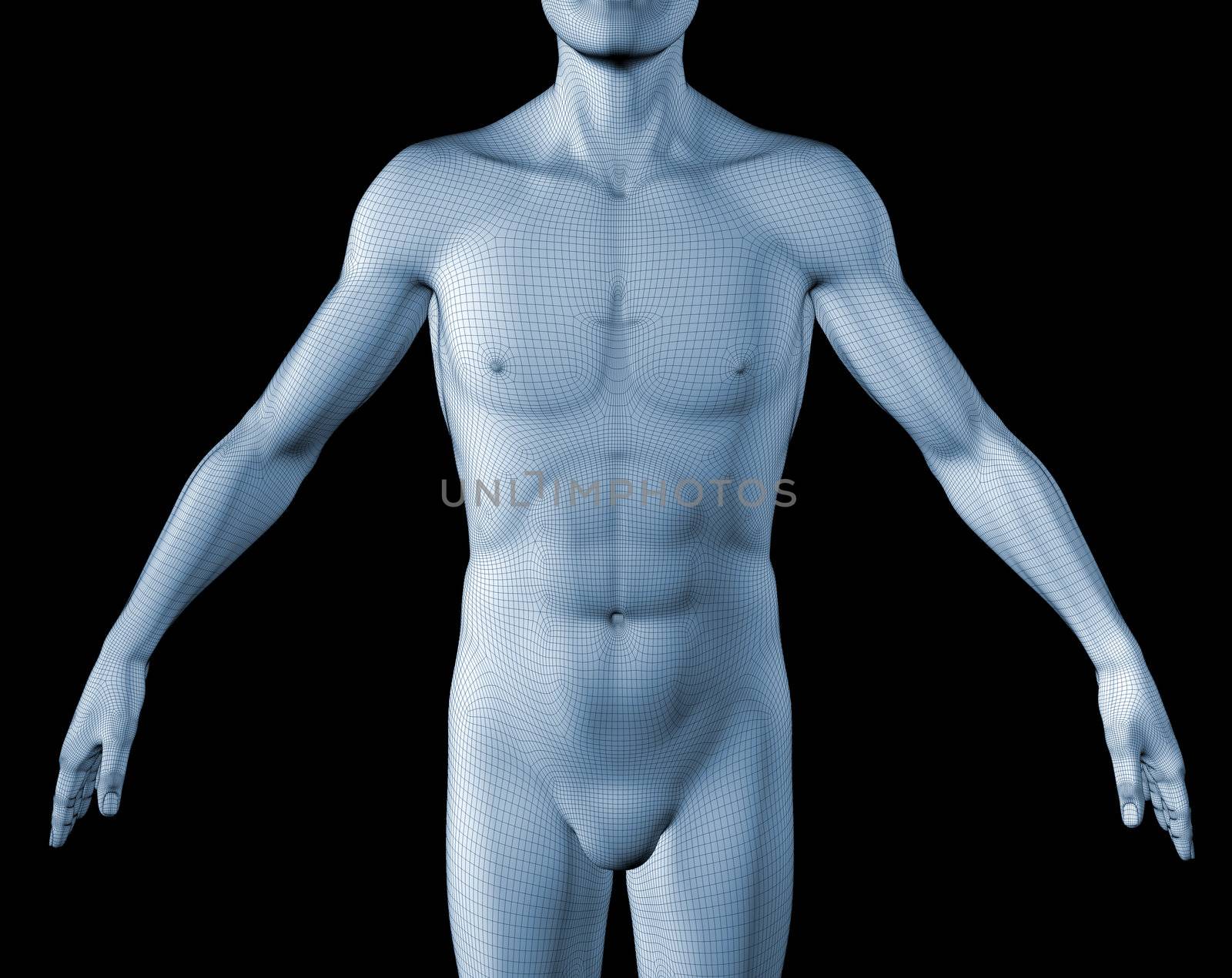 3d image of a man's torso