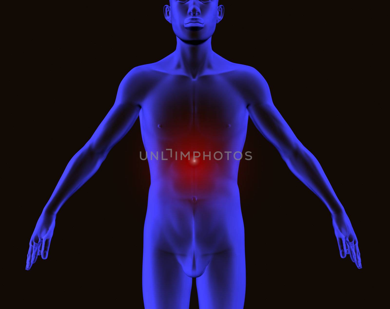 x-ray of a body of a man  with red stomachache