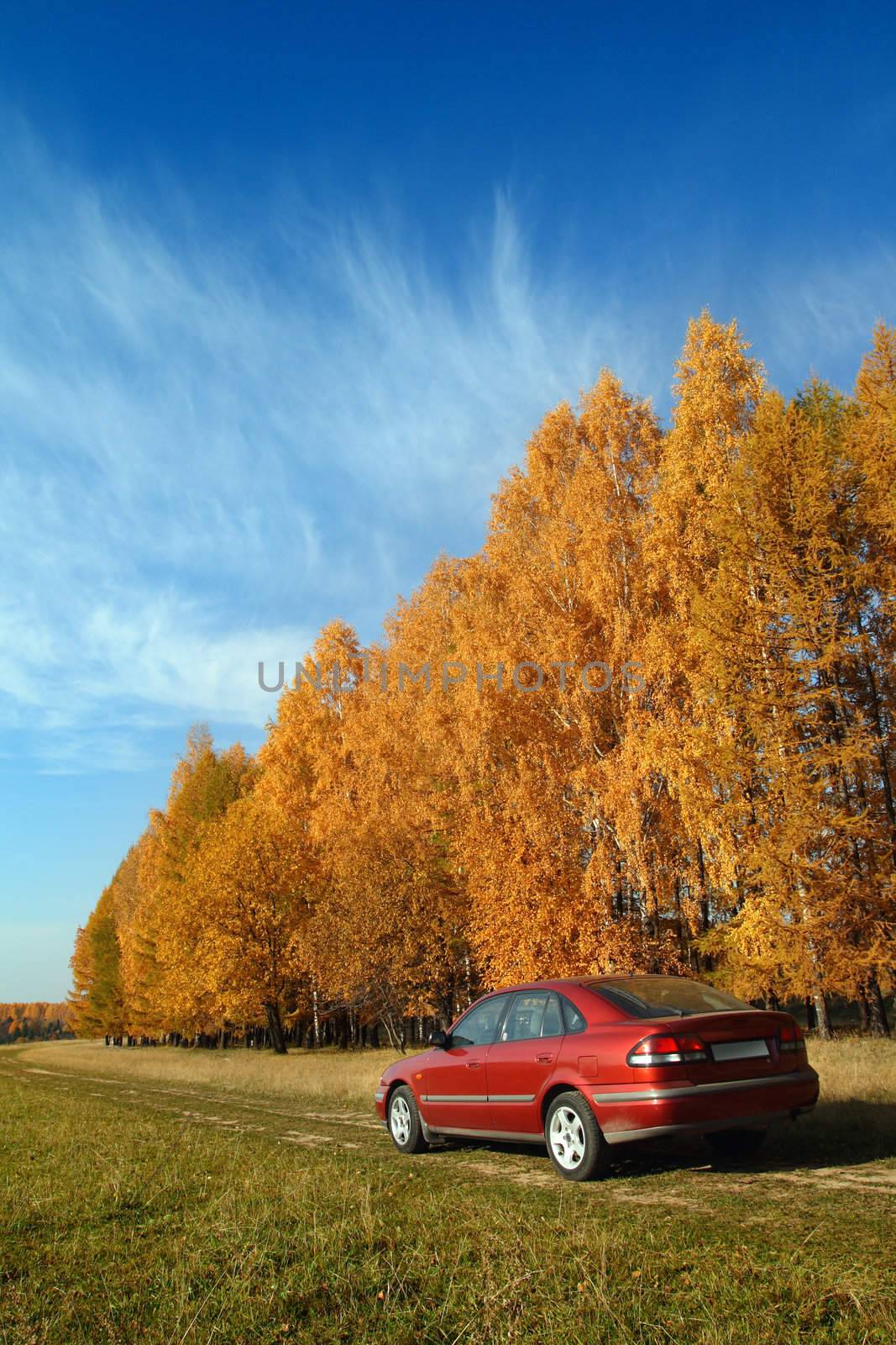 red car near autumn forest by Mikko