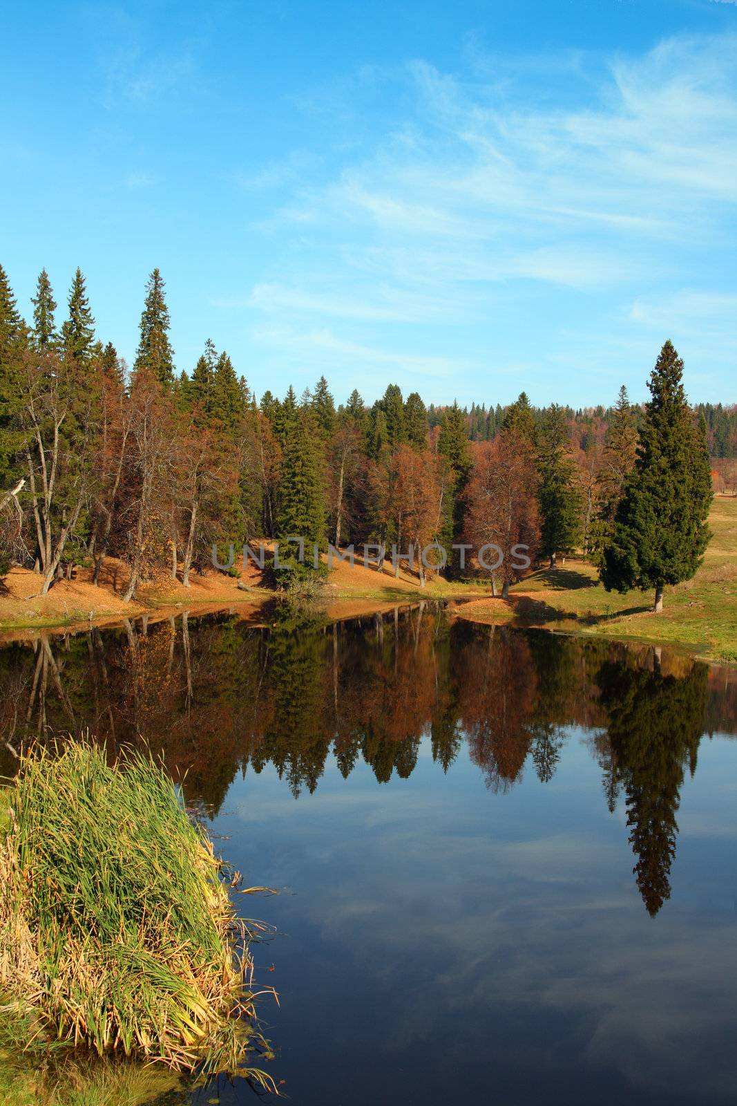 autumn landscape with forest lake by Mikko