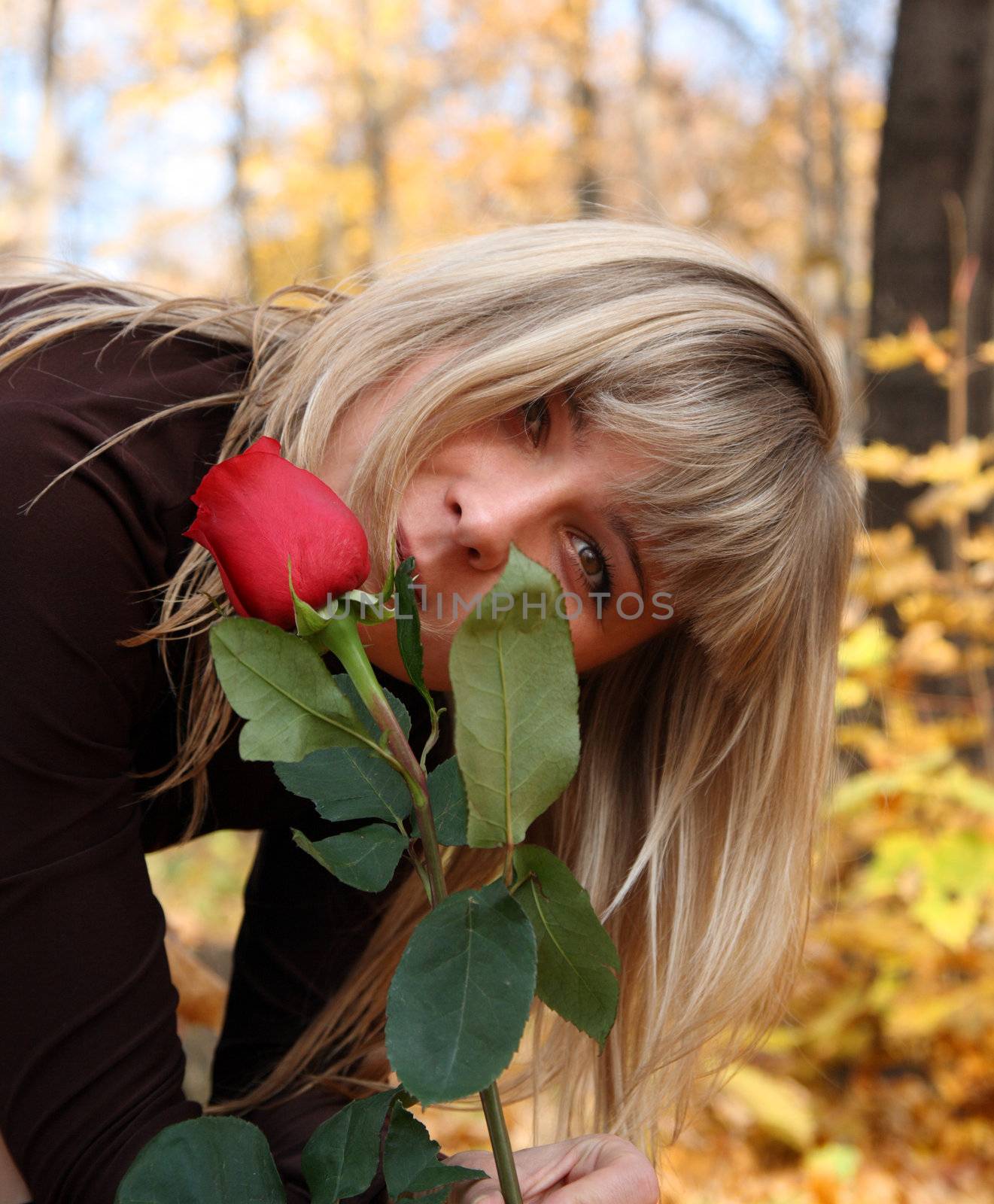 beautiful young girl with rose in autumn park