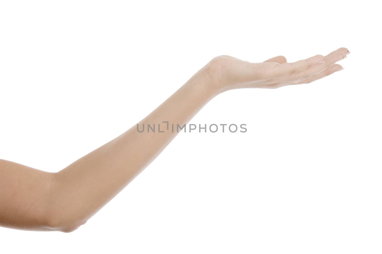 hand showing flat palm on  an isolated white background 