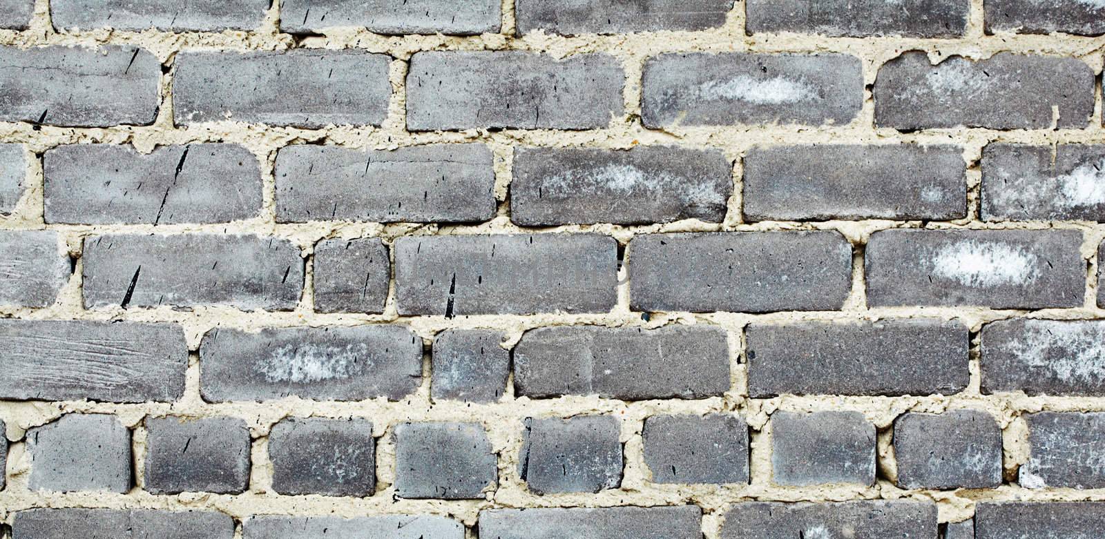 Detail of old moldy gray brick wall