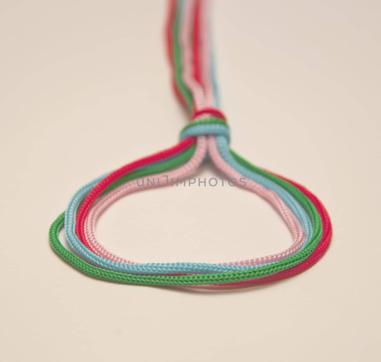 Loop from colour laces with a small knot