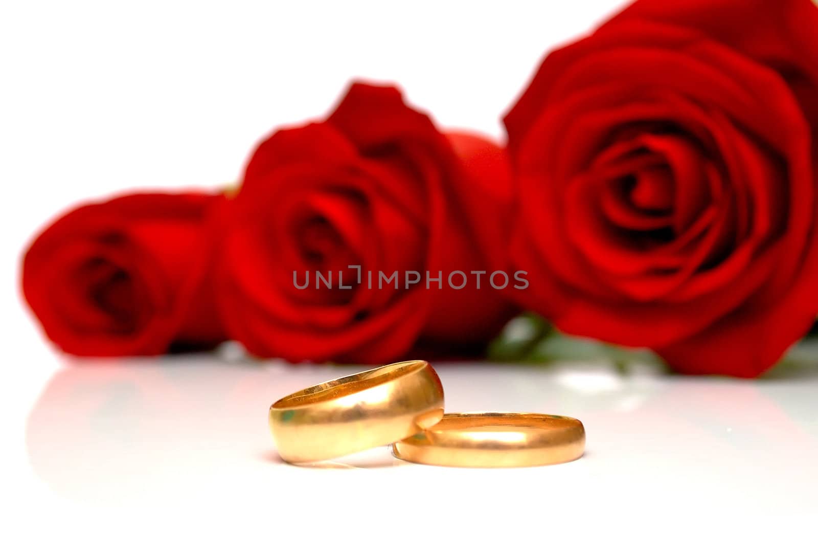 Wedding rings and red roses on white background