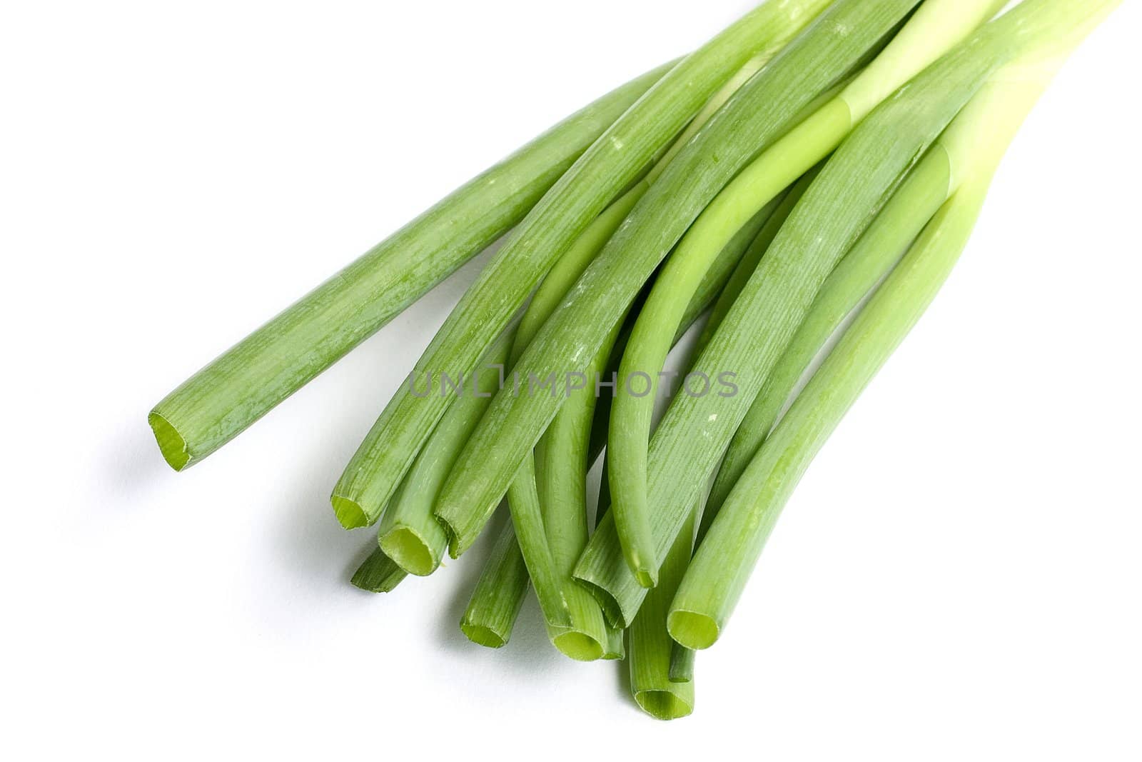 Chive in bunch isolated on white background